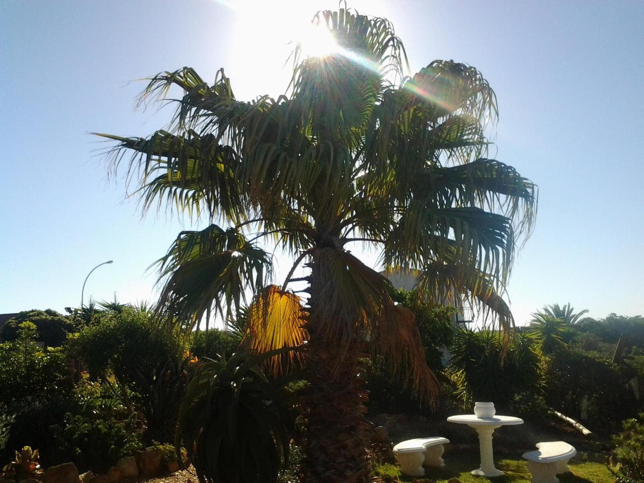 Dolphin View Guesthouse photo 8