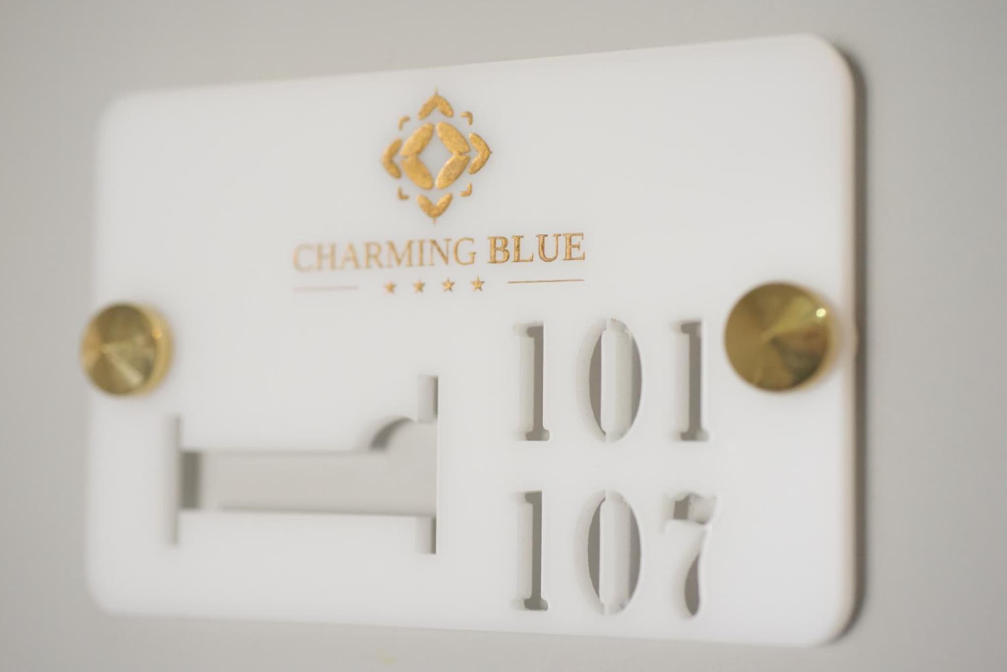 Charming Blue photo 2