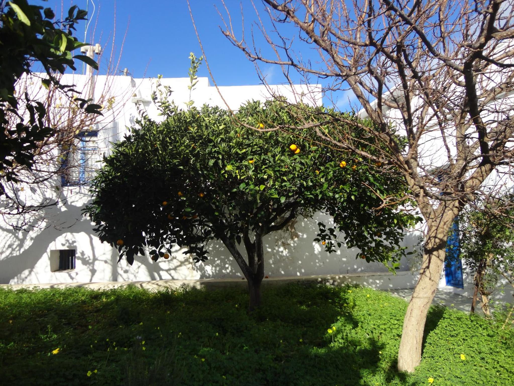 Alexandros House photo 6