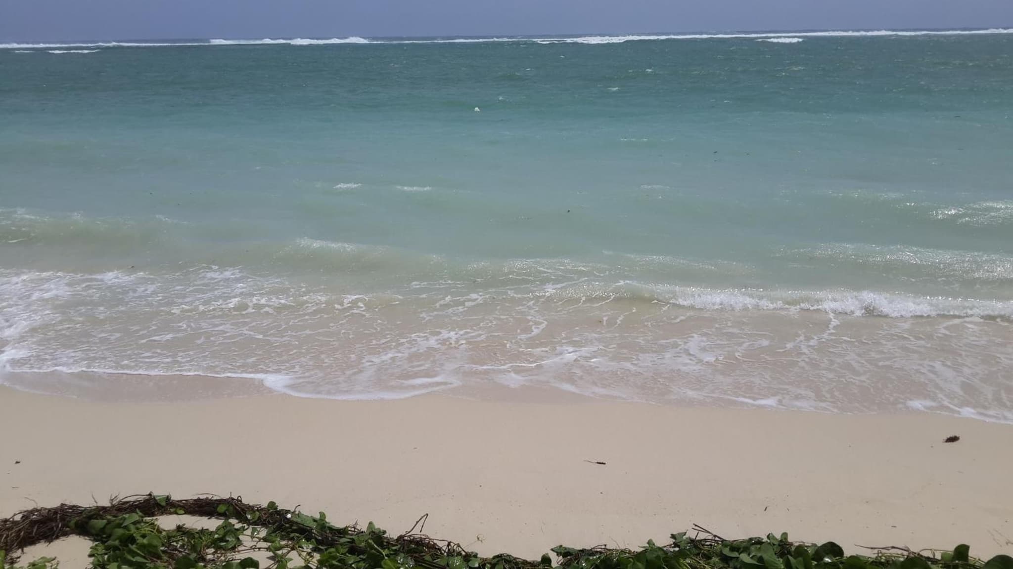 Villasun Seafront Apart at CapOuest photo 6