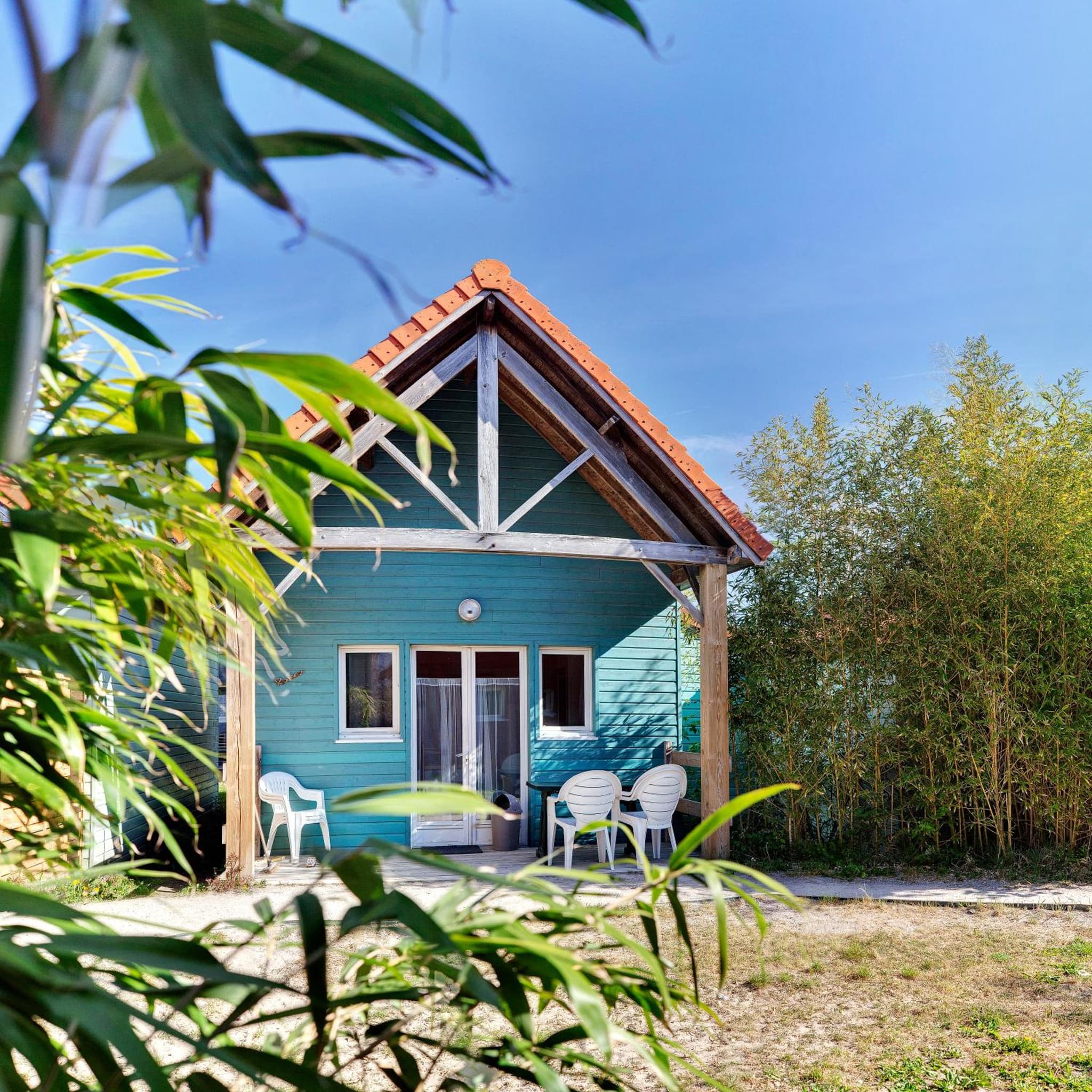 Naturotel photo 7