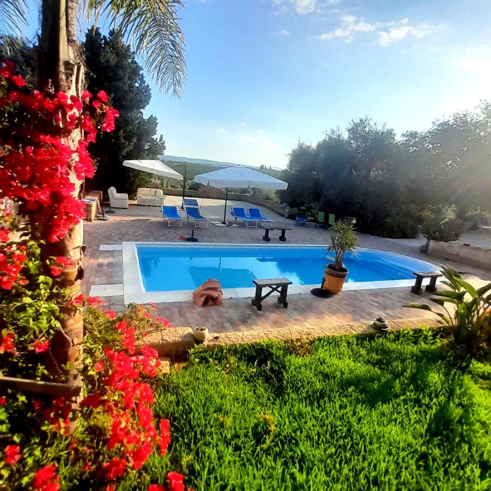 B&B Villa Sant'Antonio photo 8