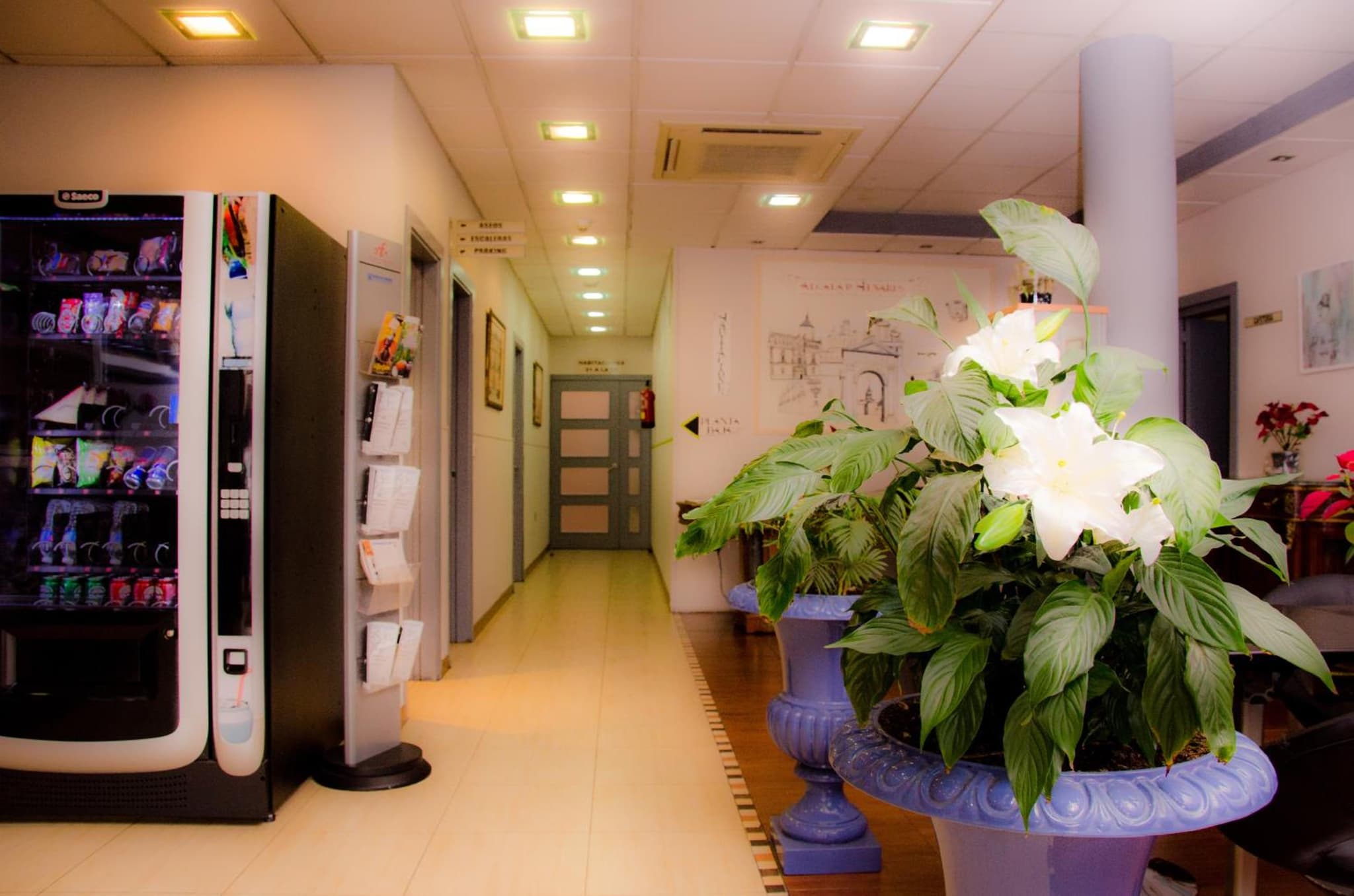recepcion & lobby