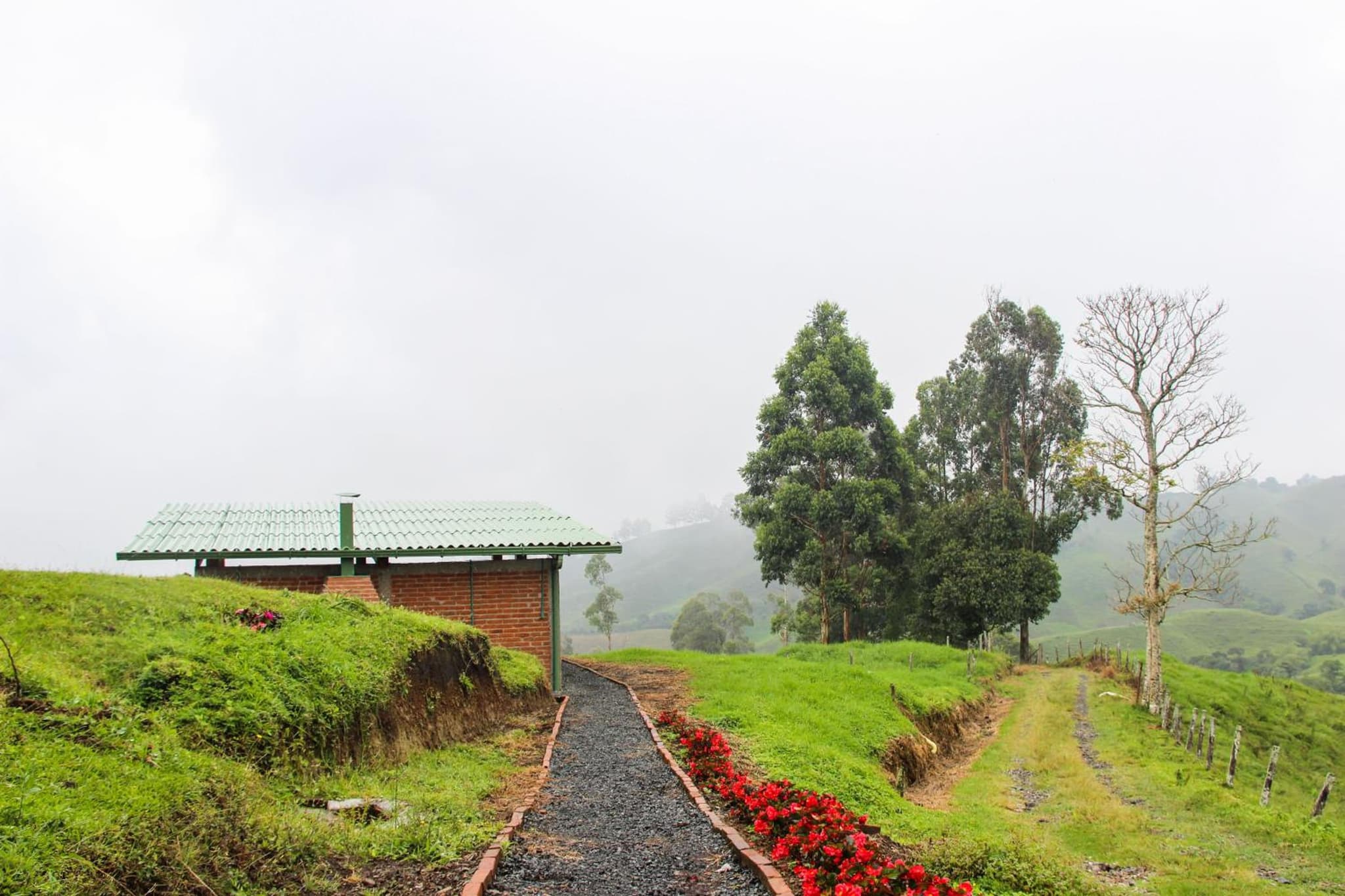 Sierra Morena Hotel photo 8