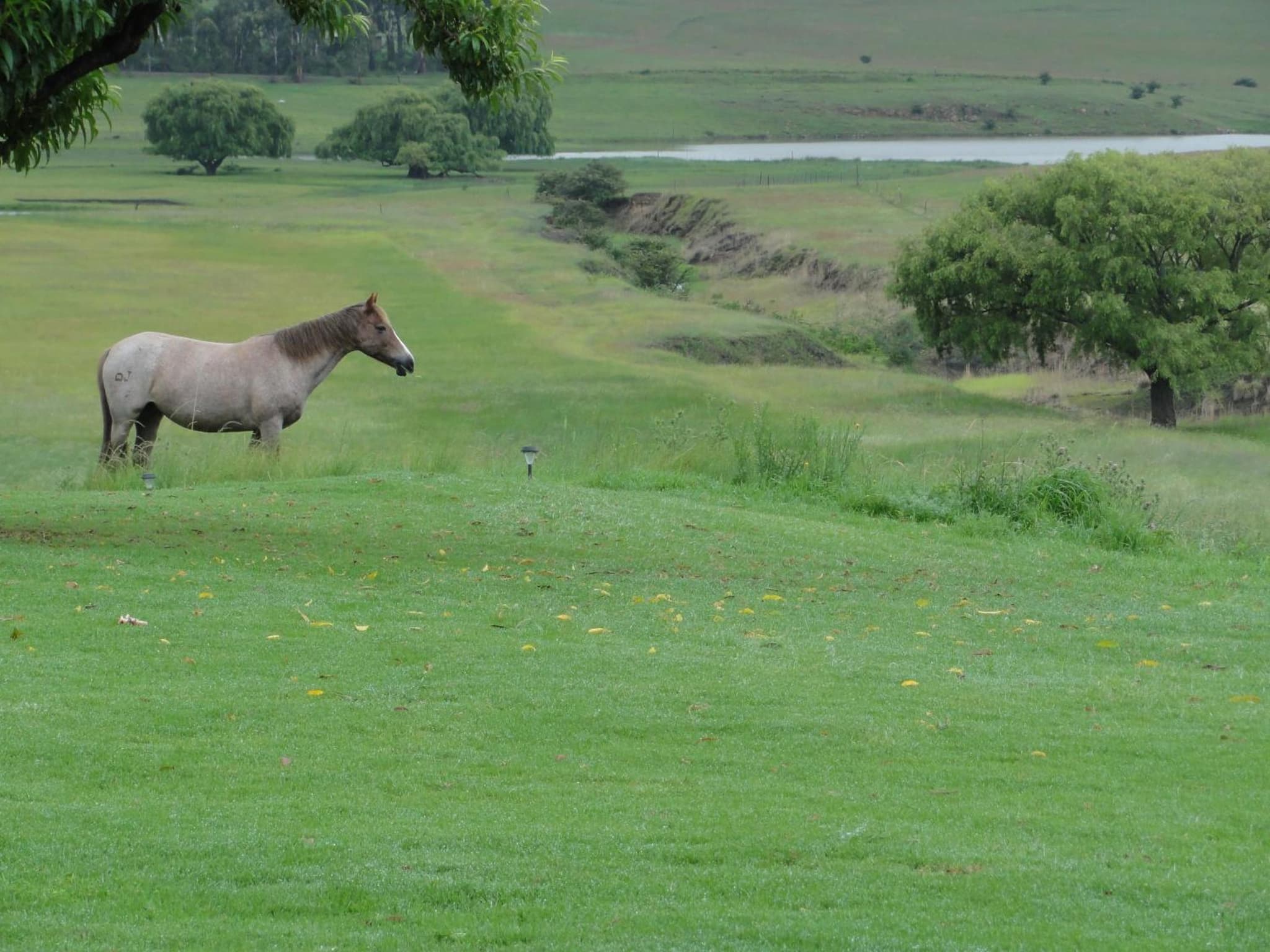 Forellenhof Guest Farm photo 5