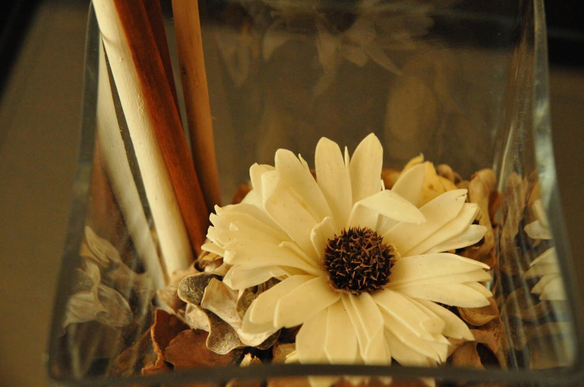 Ester Guest House photo 3