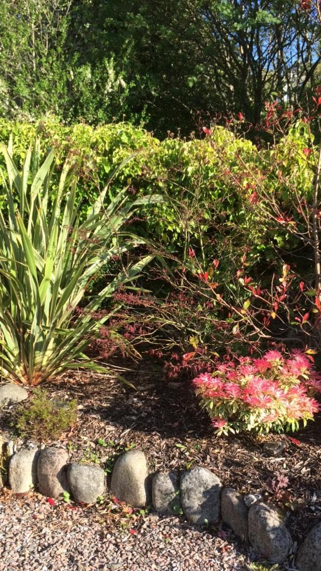 Buccleuch Guest House photo 5