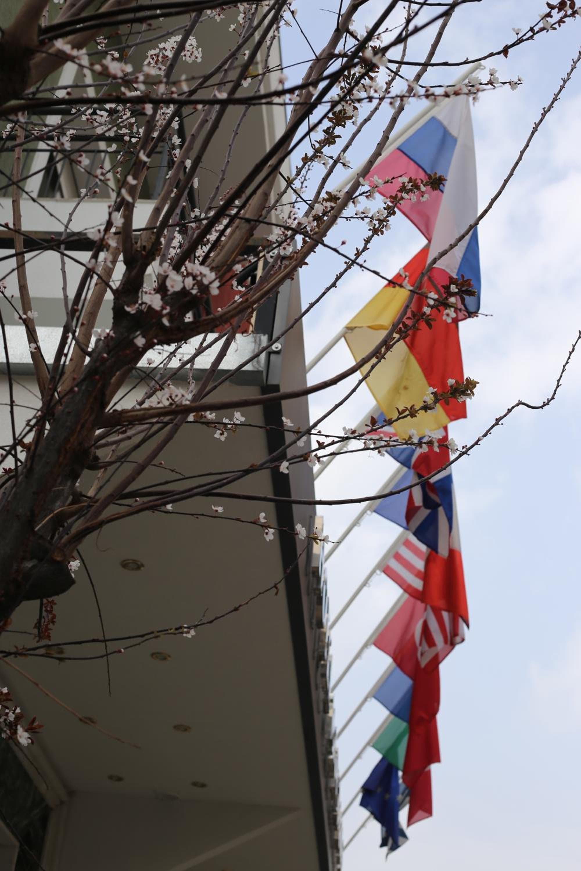 Marianna Hotel photo 5