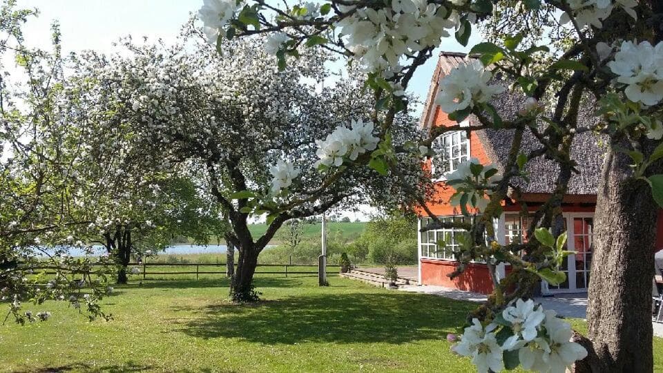 SoegaardensBB photo 6