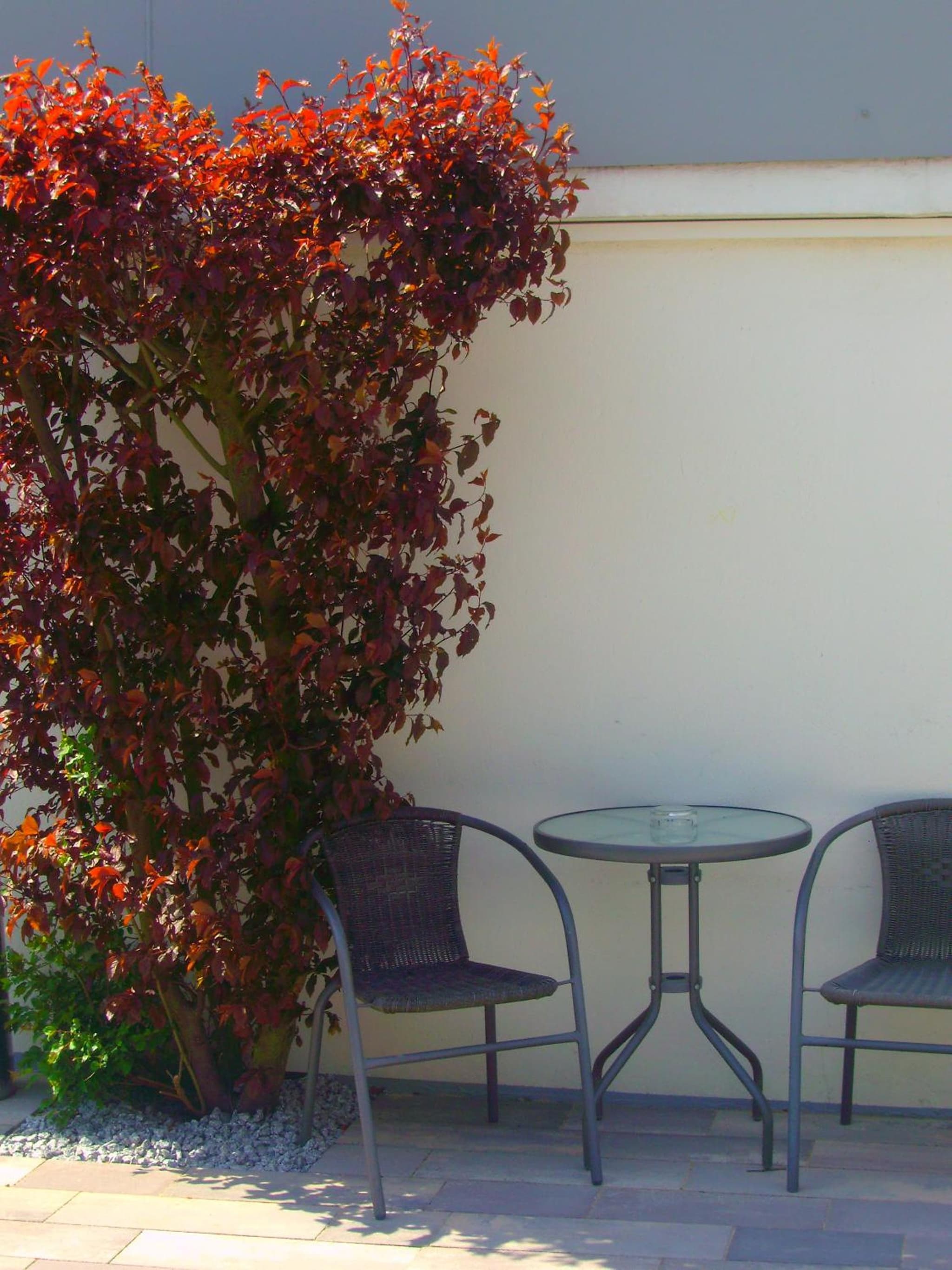 Hotel Herrenhof photo 6