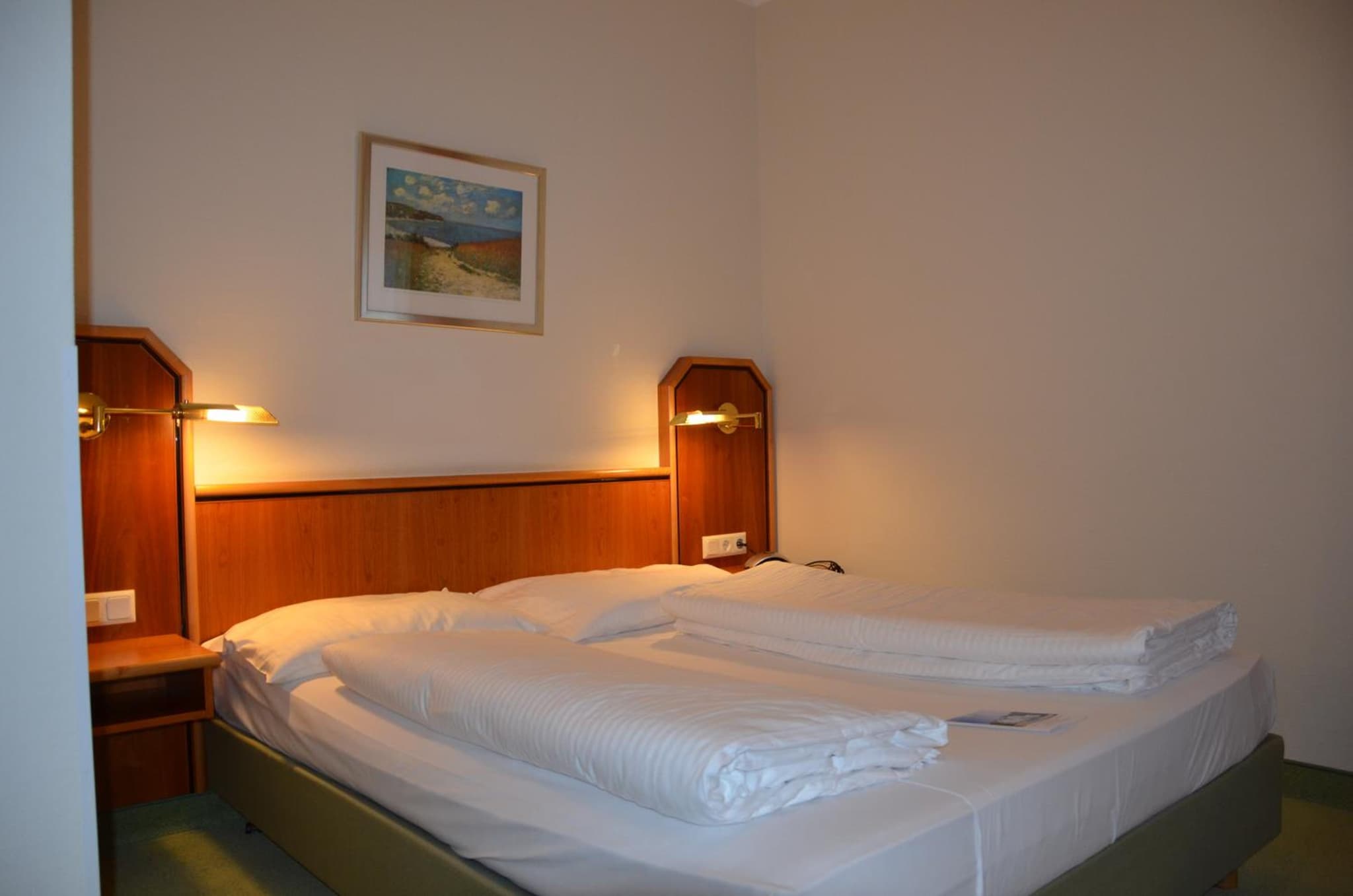Hotel Haus am Park photo 9