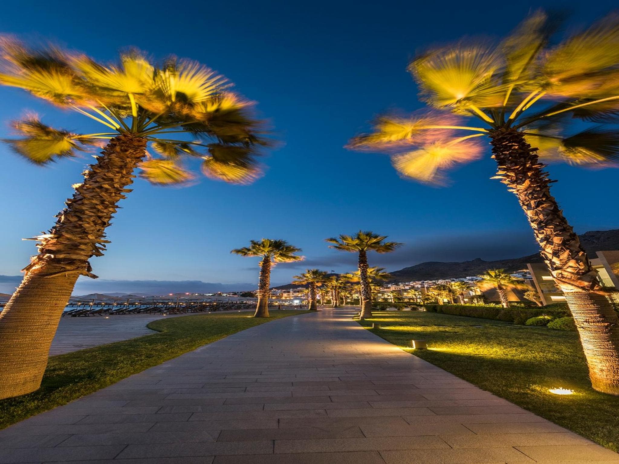 Swissôtel Resort Bodrum Beach photo 2