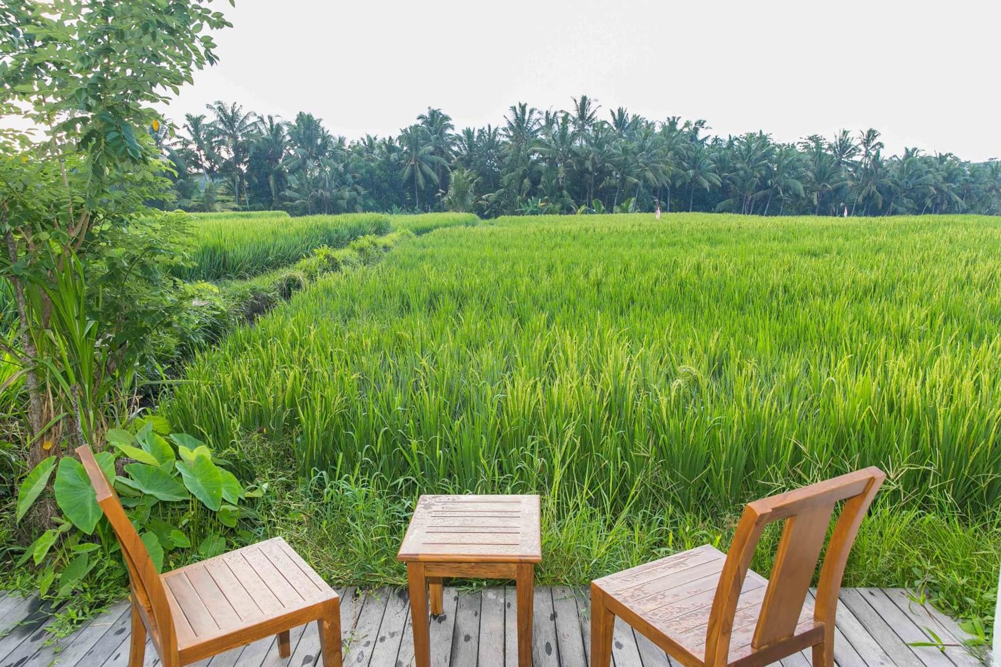 Solo Villas & Retreat photo 3