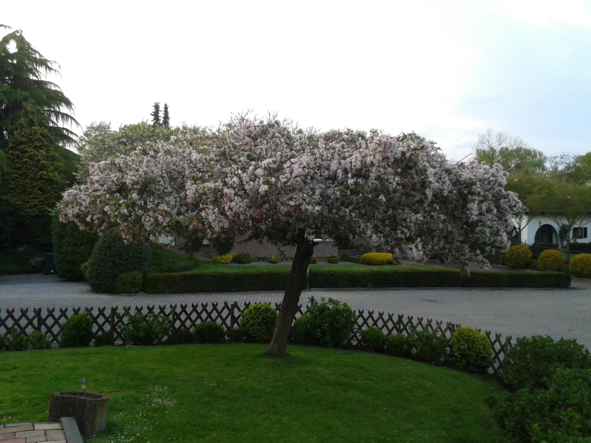 Rene's B&B photo 5