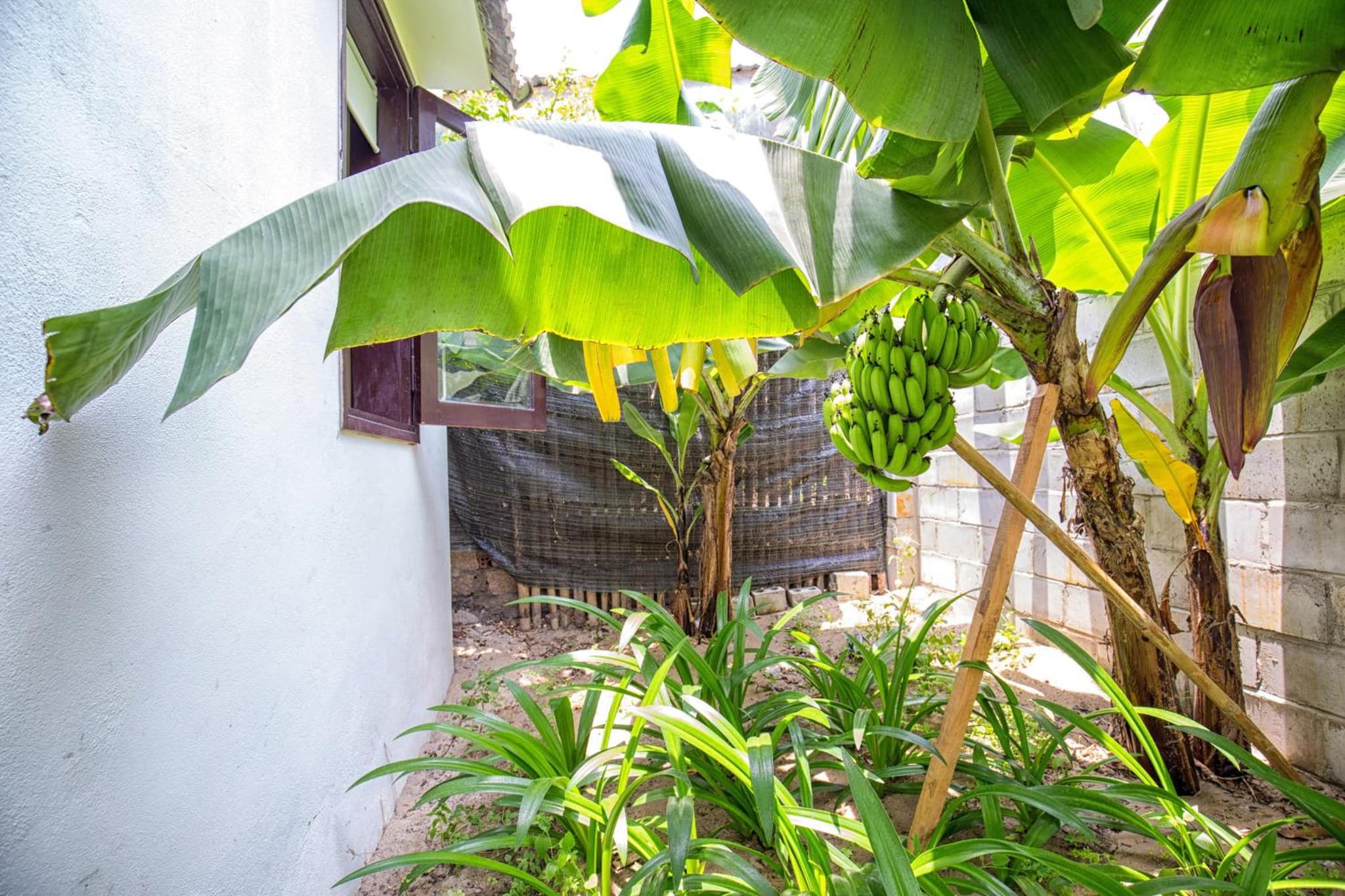 Red Flower Cottages Homestay photo 8