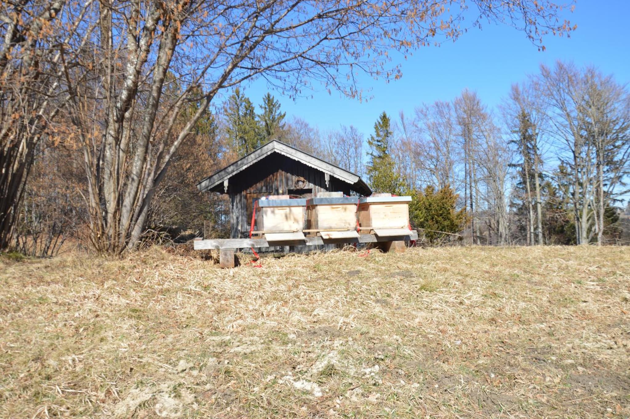 Bauernhof Unterhöfner photo 5
