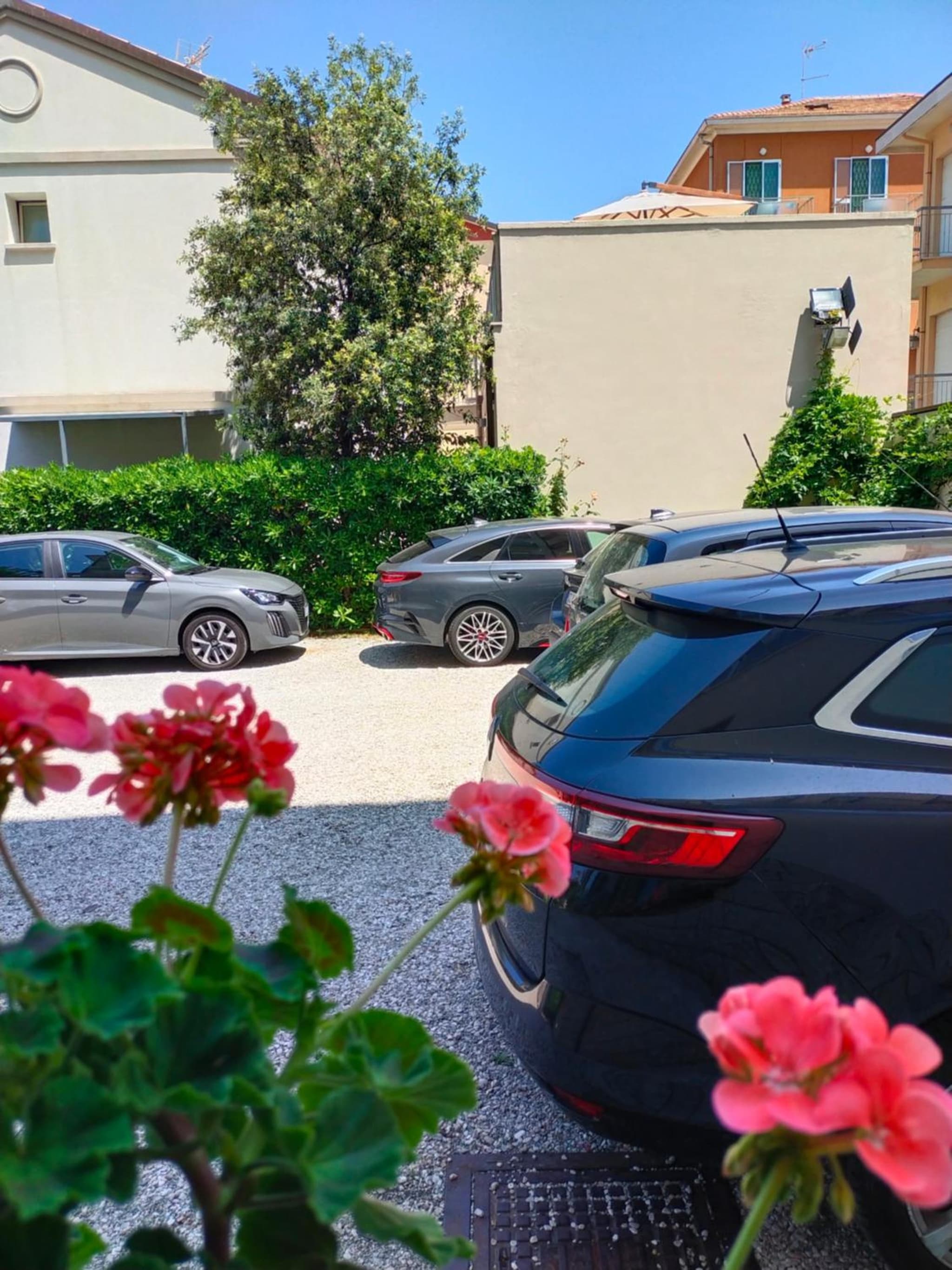 Hotel Goldene Rose photo 4
