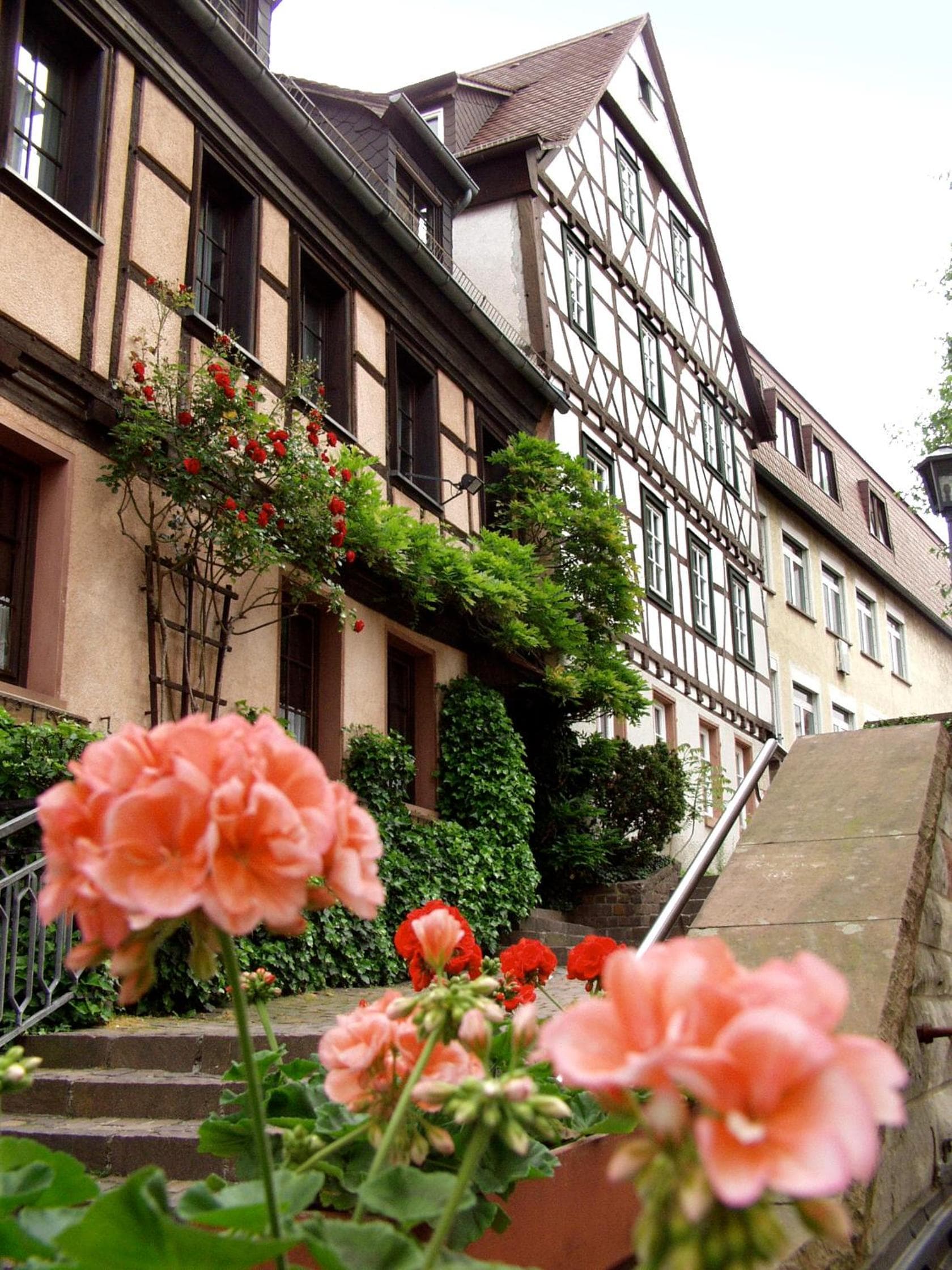 Hotel Bacchus photo 9