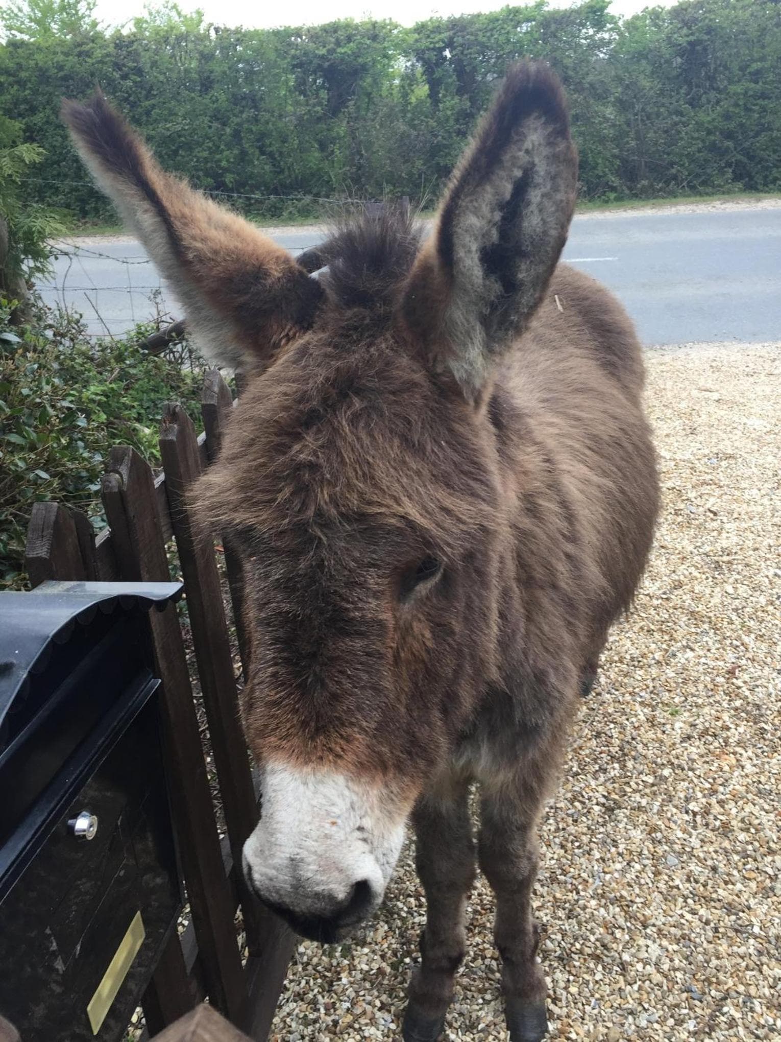Leygreen Farmhouse B&B photo 2