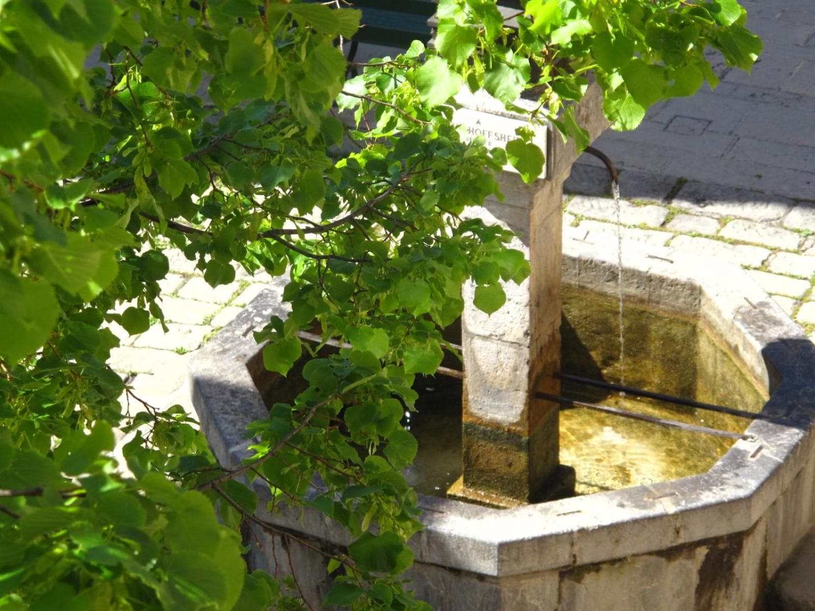 La Maison de la Tour photo 9