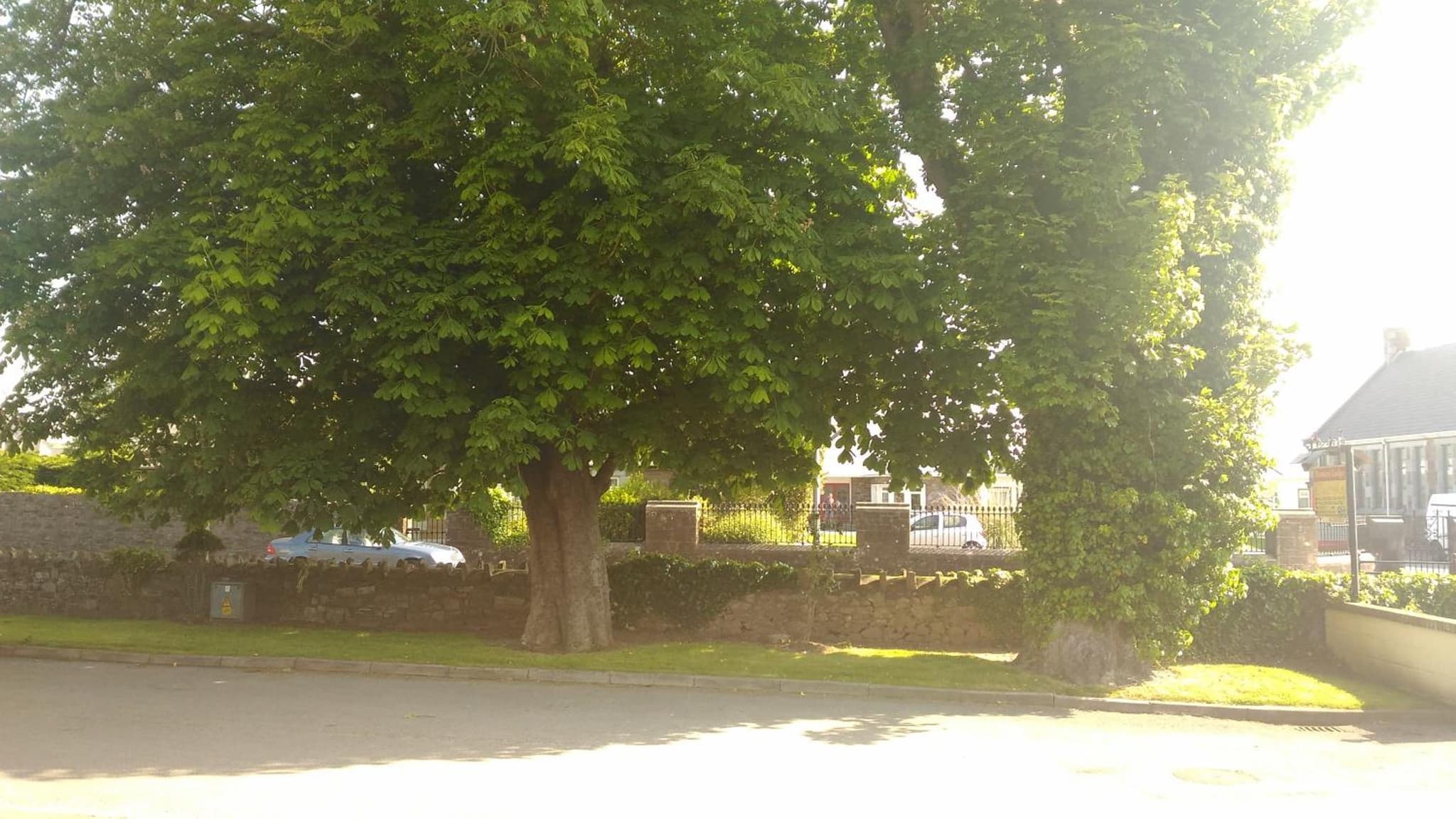 Conn Oriel B&B photo 4