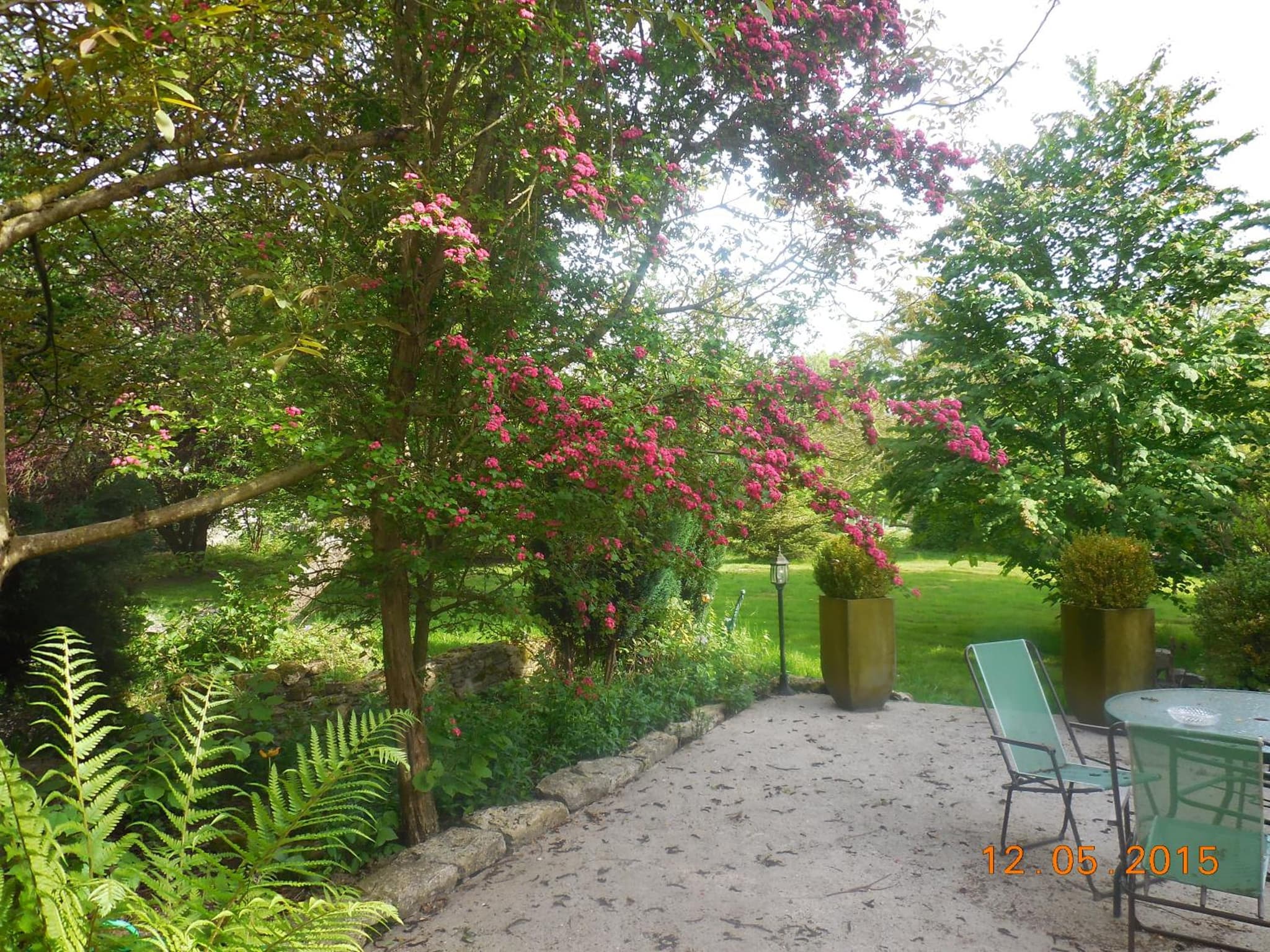 Les Chambres de la Nied photo 3