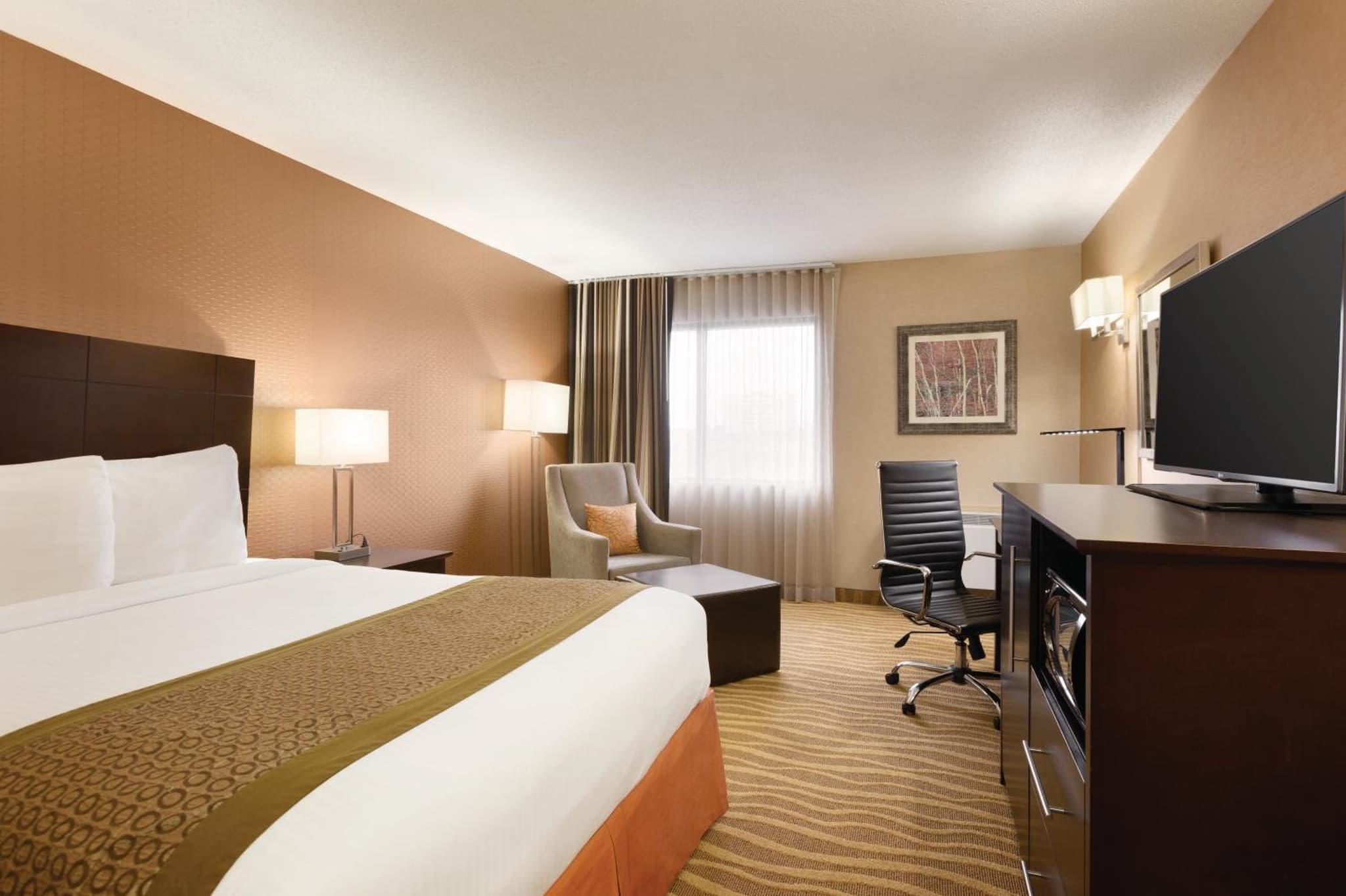 Park Inn by Radisson Toronto-Markham photo 9