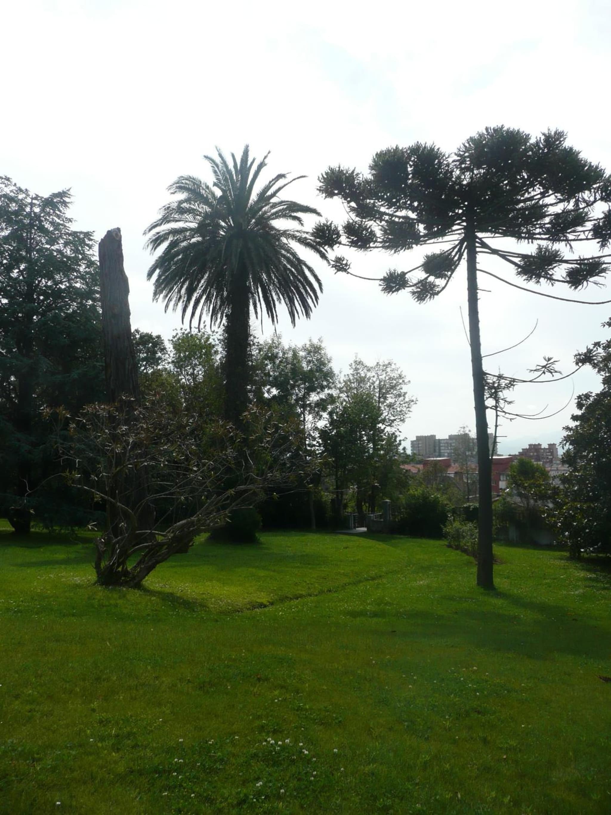 Las Carolinas Garden photo 2