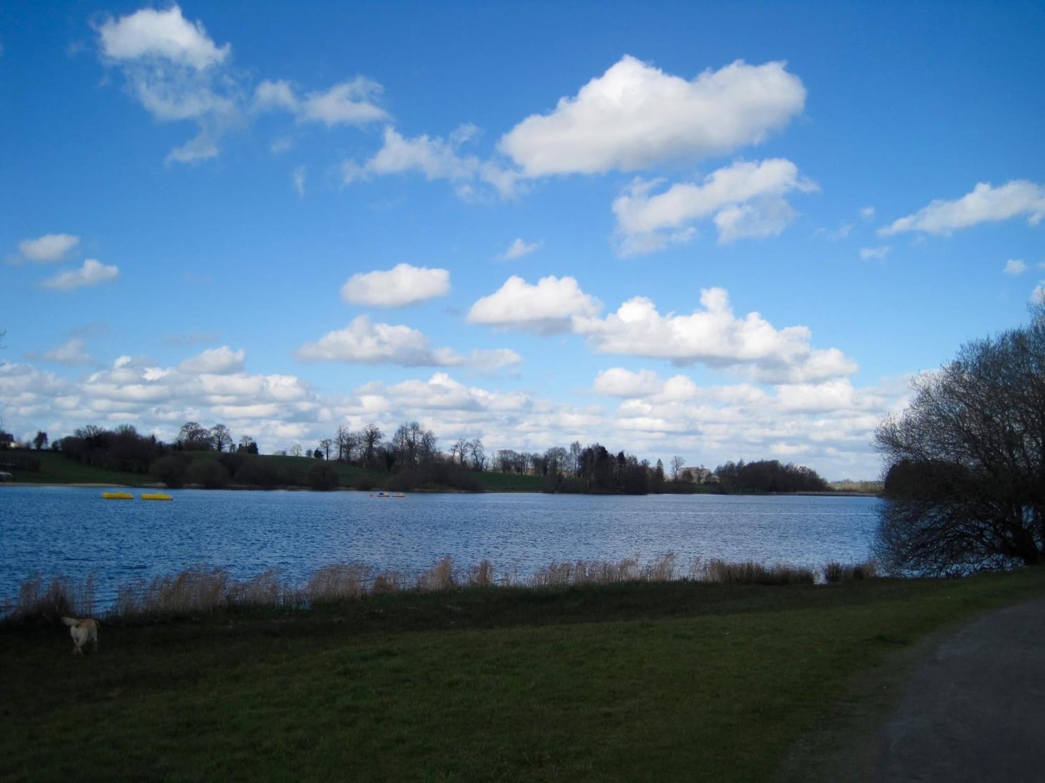 Le bouddha du lac photo 8