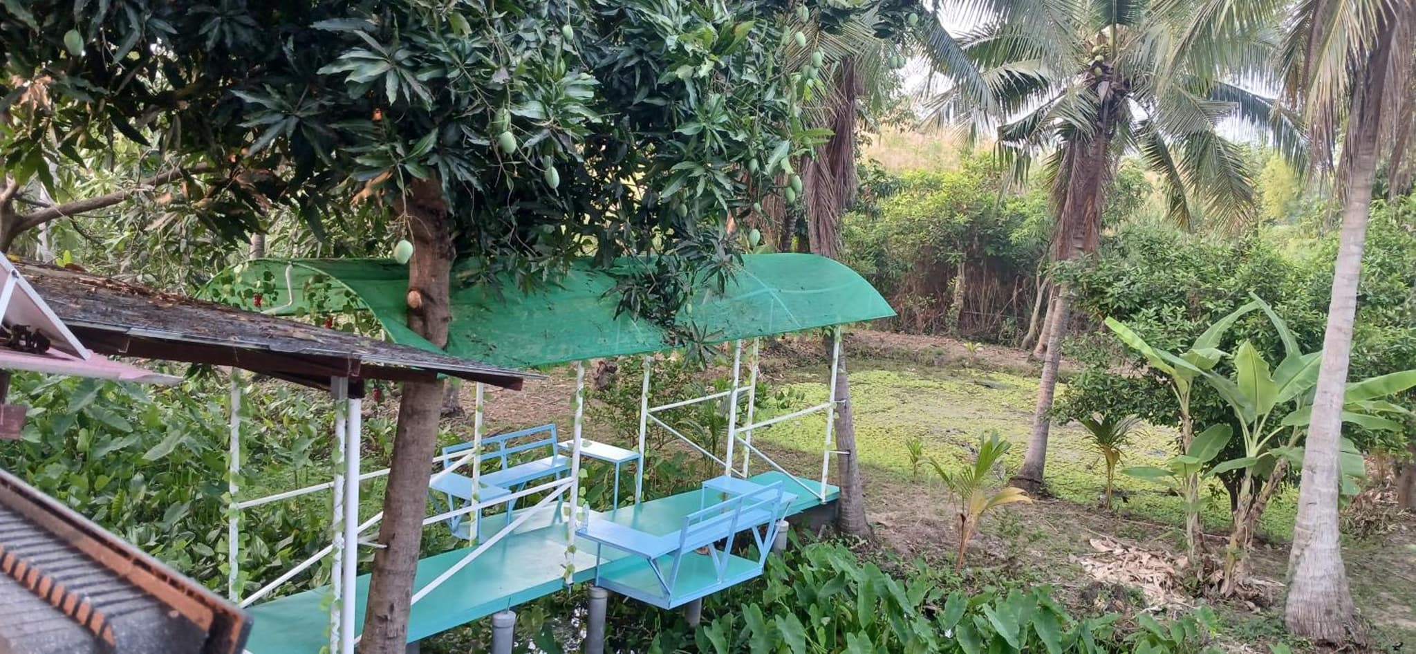 Thai Garden​ Resort​ Kanchanaburi​ photo 5