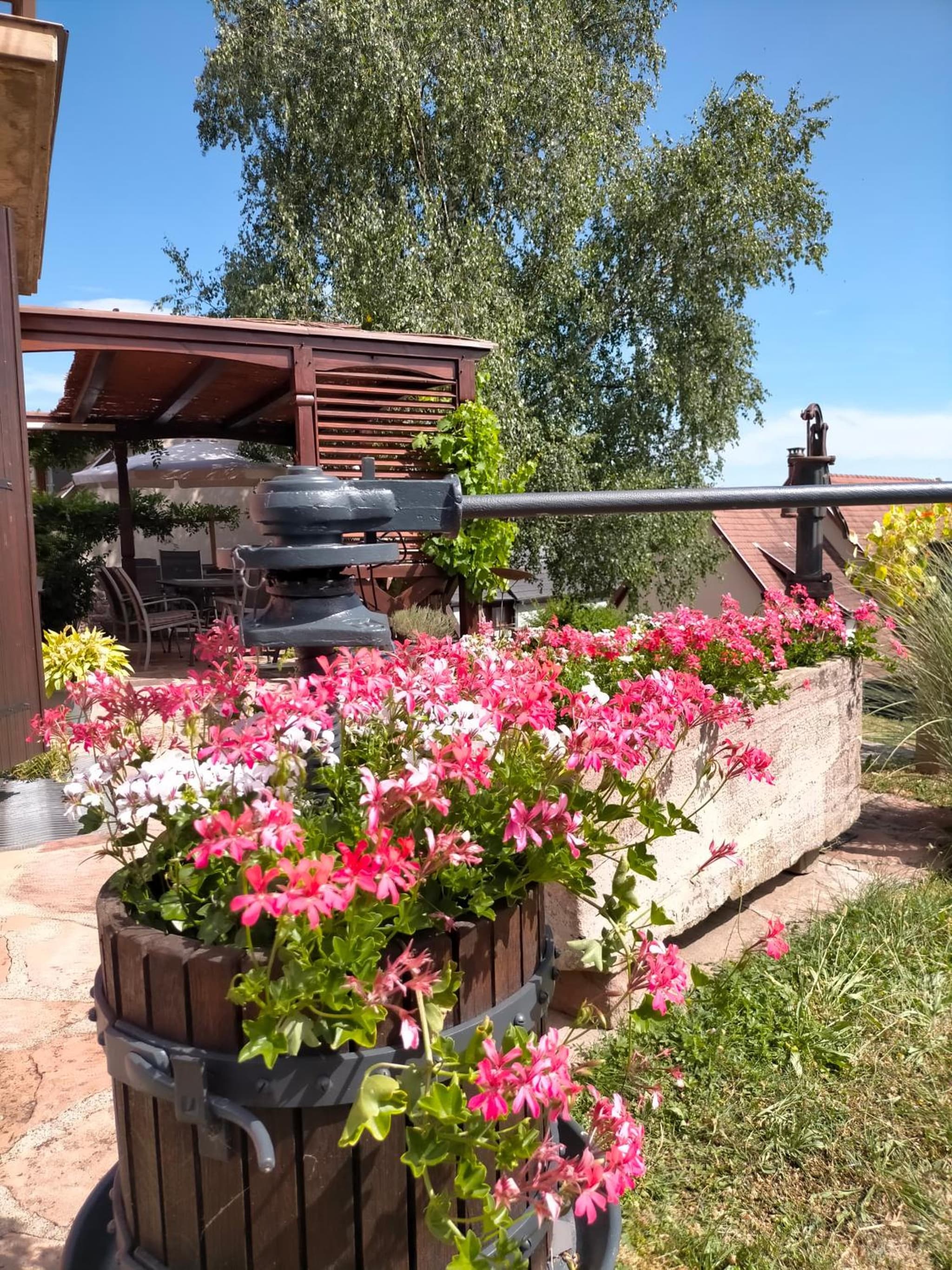 Chez Yolande