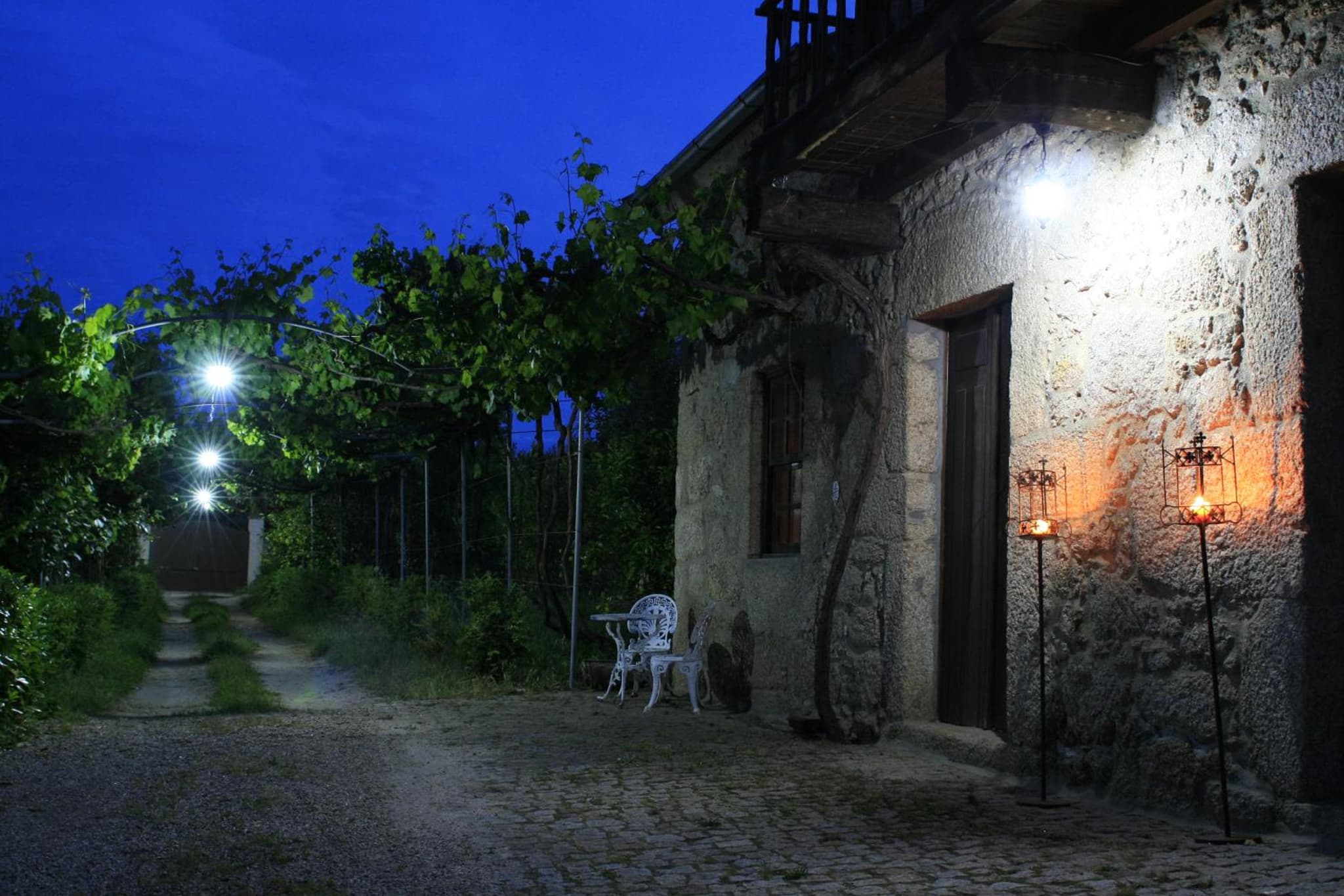 Villa Silene photo 3
