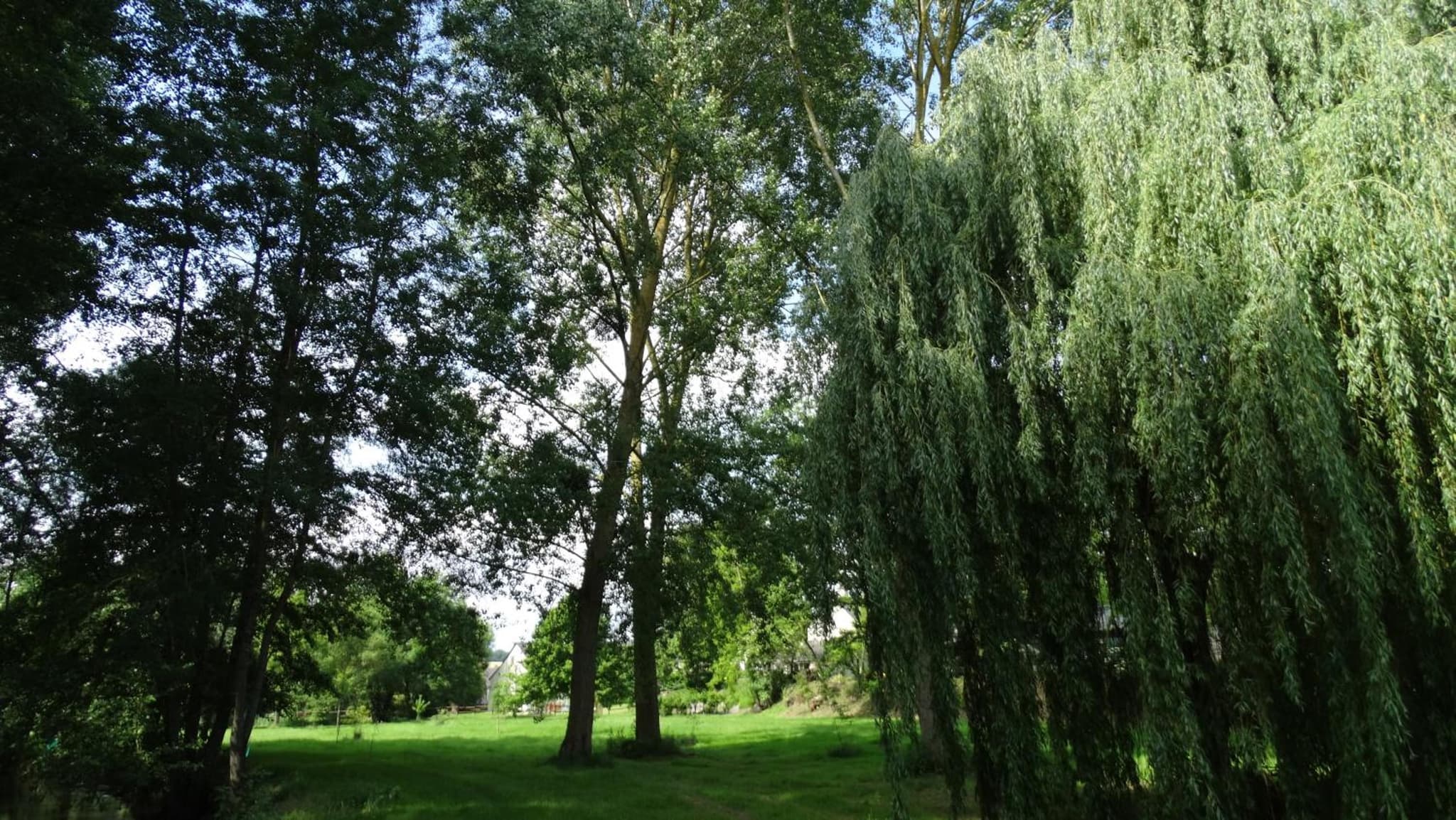 Moulin de reigner photo 4