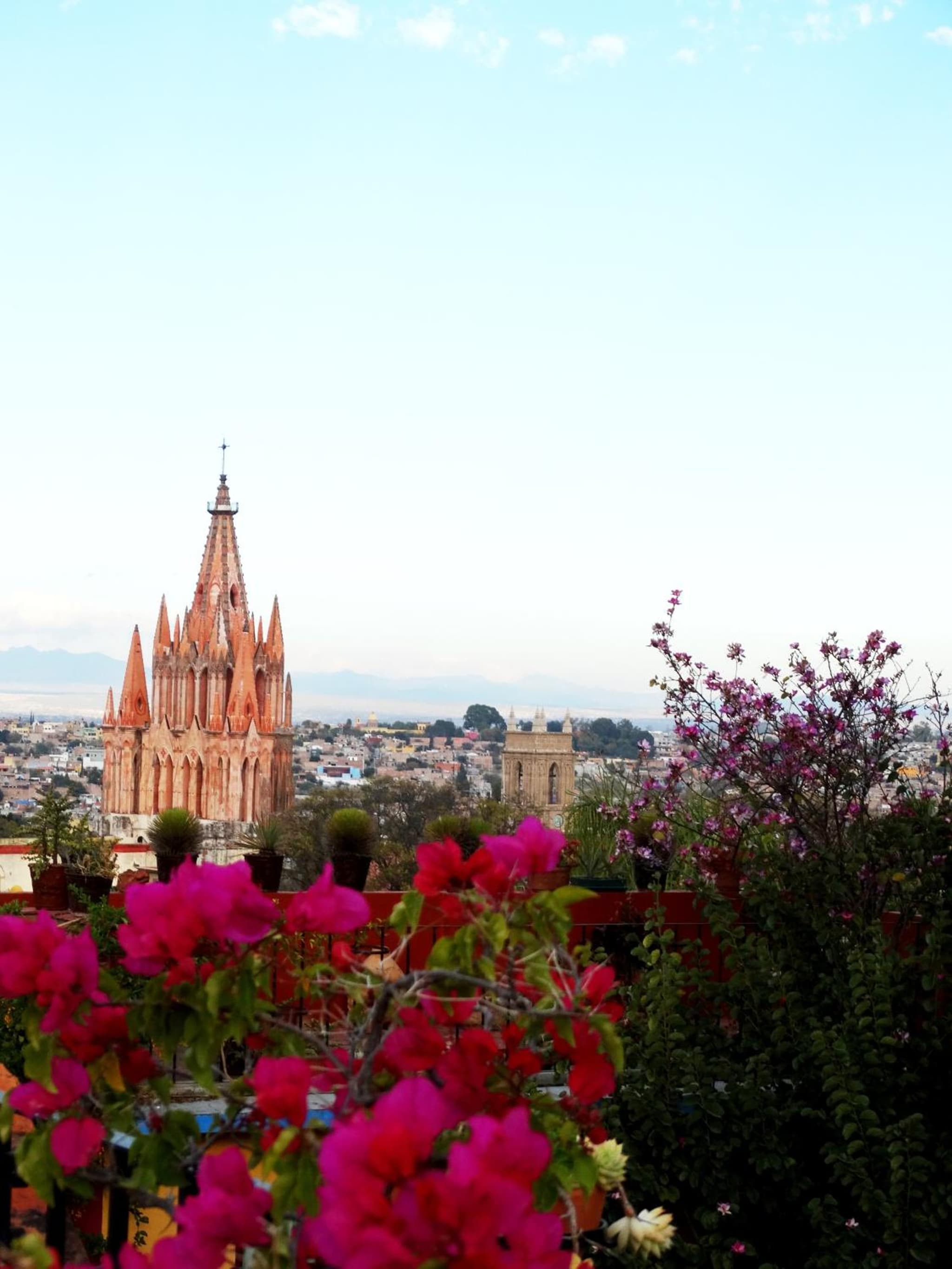 Hacienda de las Flores photo 9