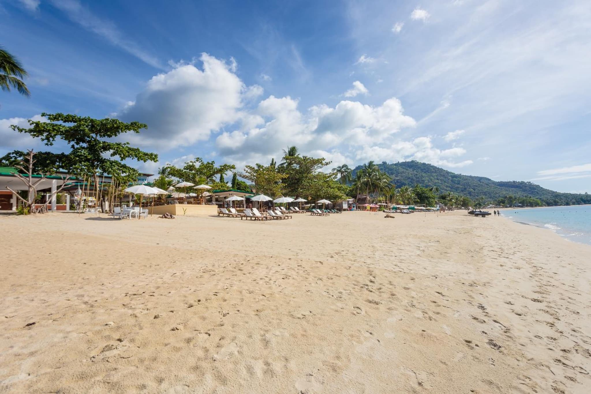 Lamai Coconut Beach Resort photo 8
