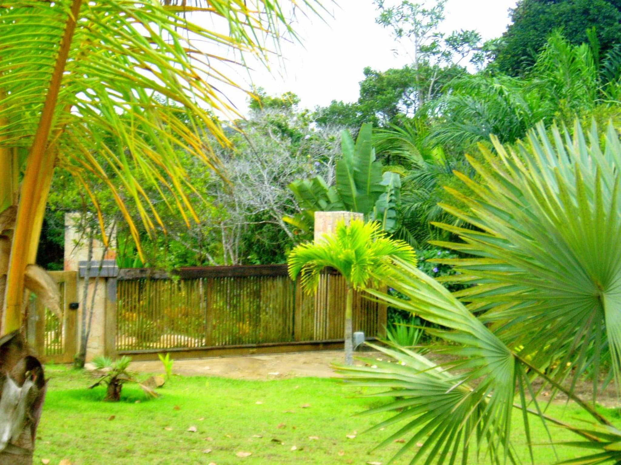 Casa Bromélia Green photo 5