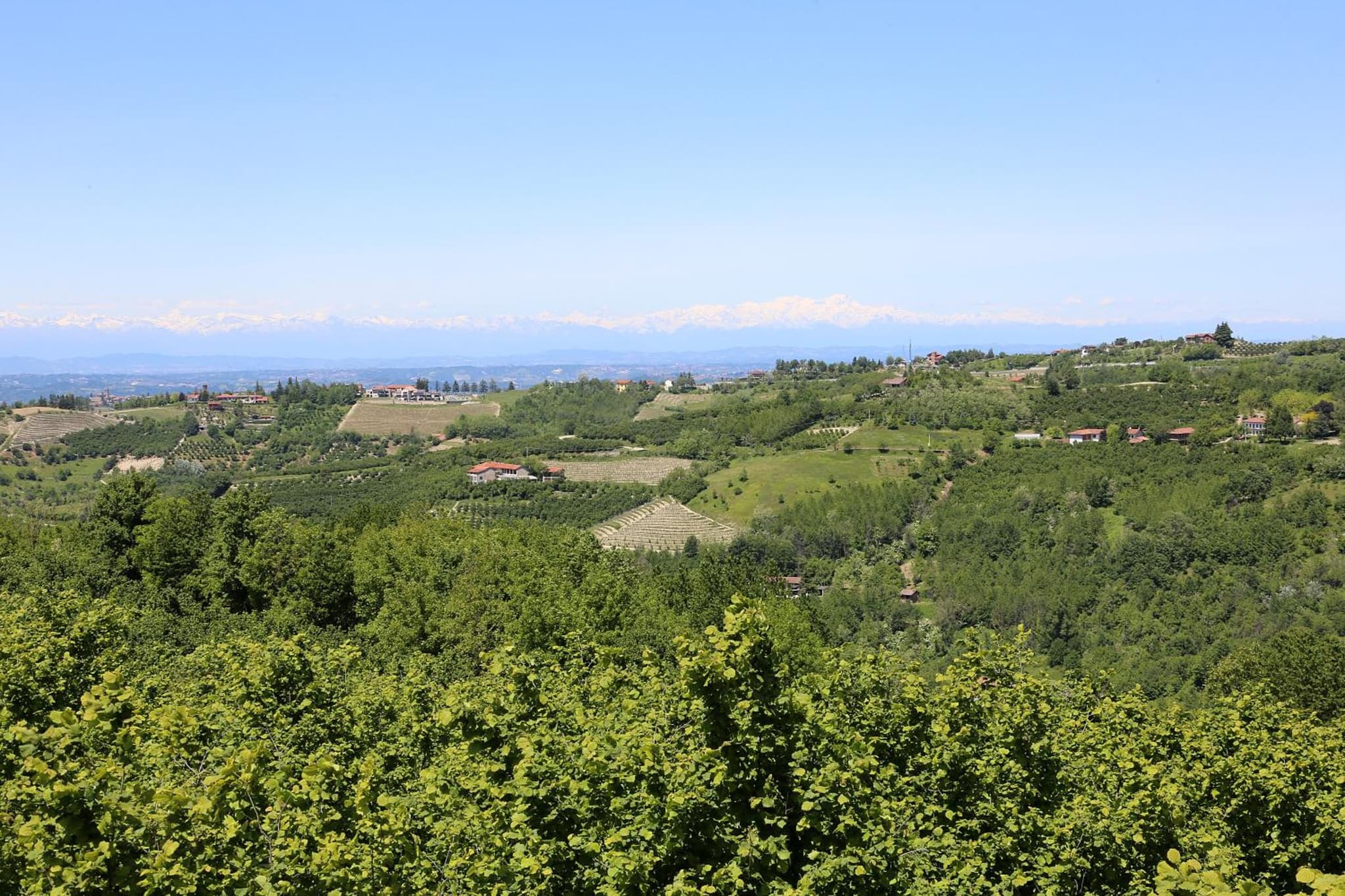 Agriturismo Al Brich photo 2