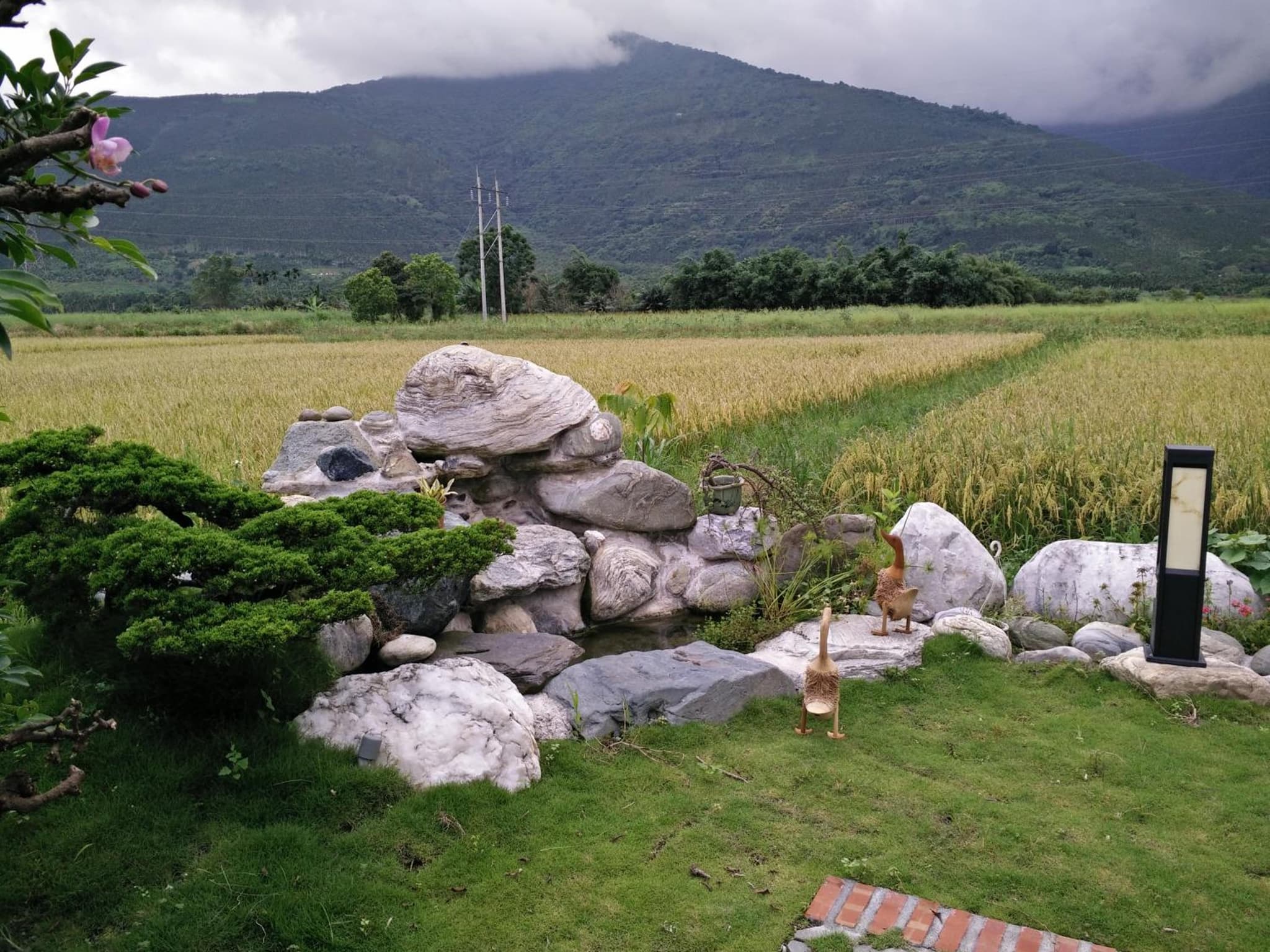 Home-Link B&B photo 6