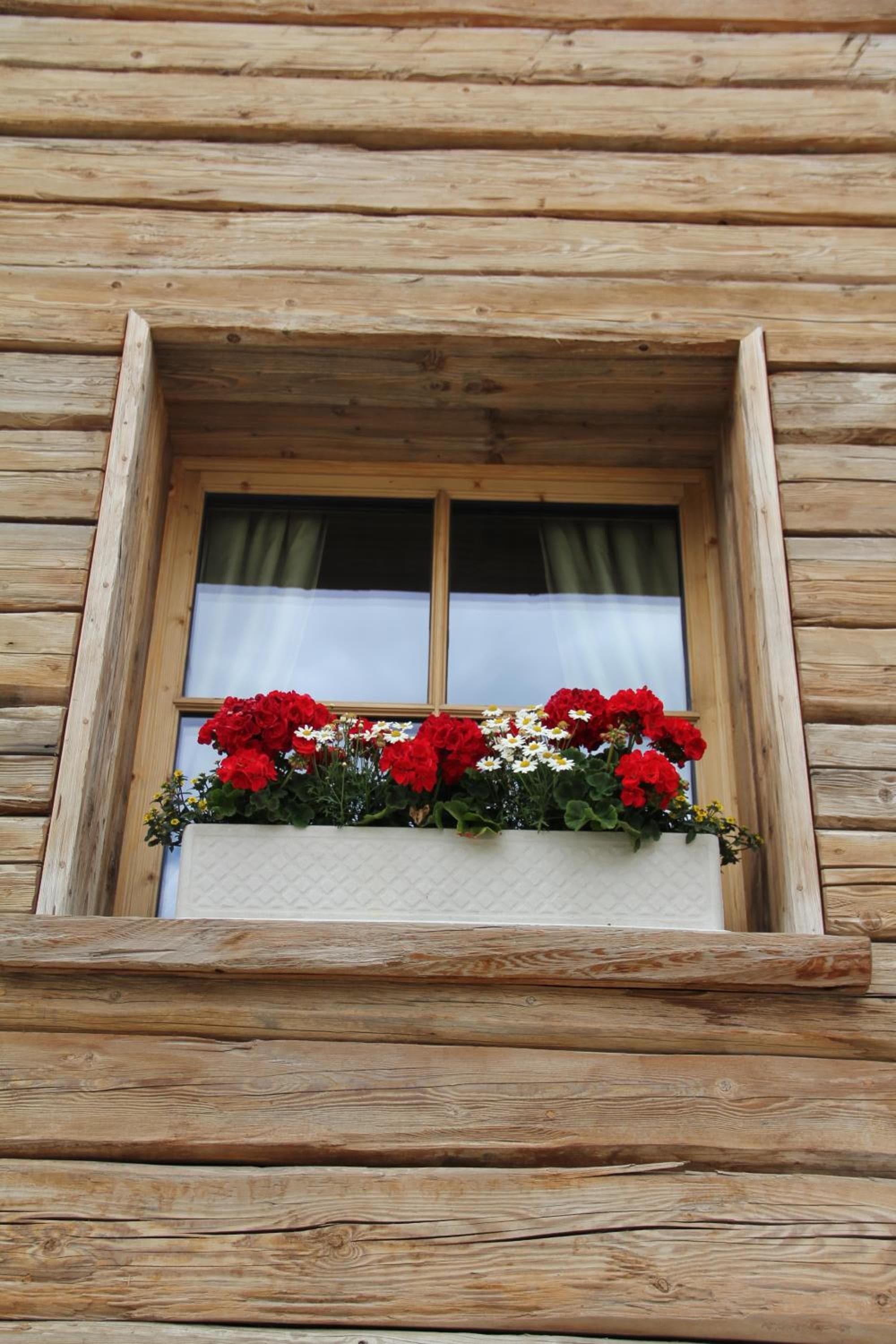 Hotelino Petit Chalet photo 3