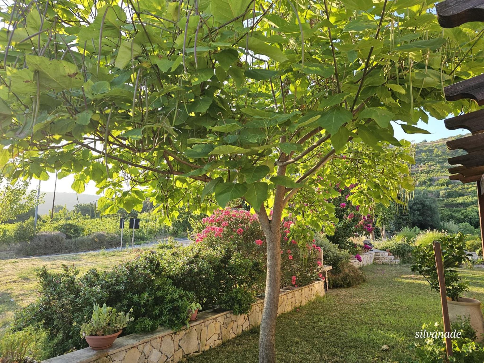 Il Castello di Modolo photo 5