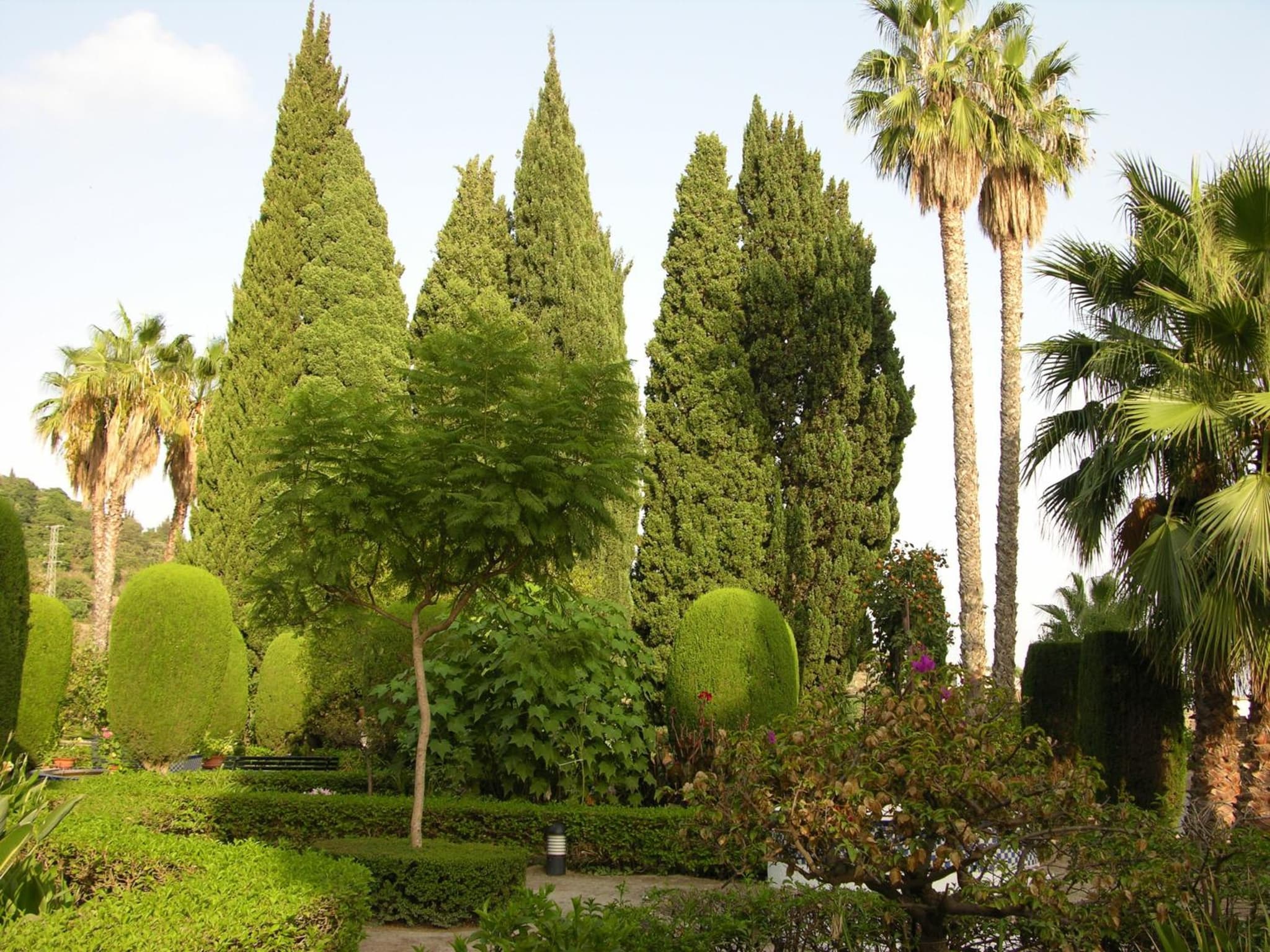 Casa de los Bates photo 7