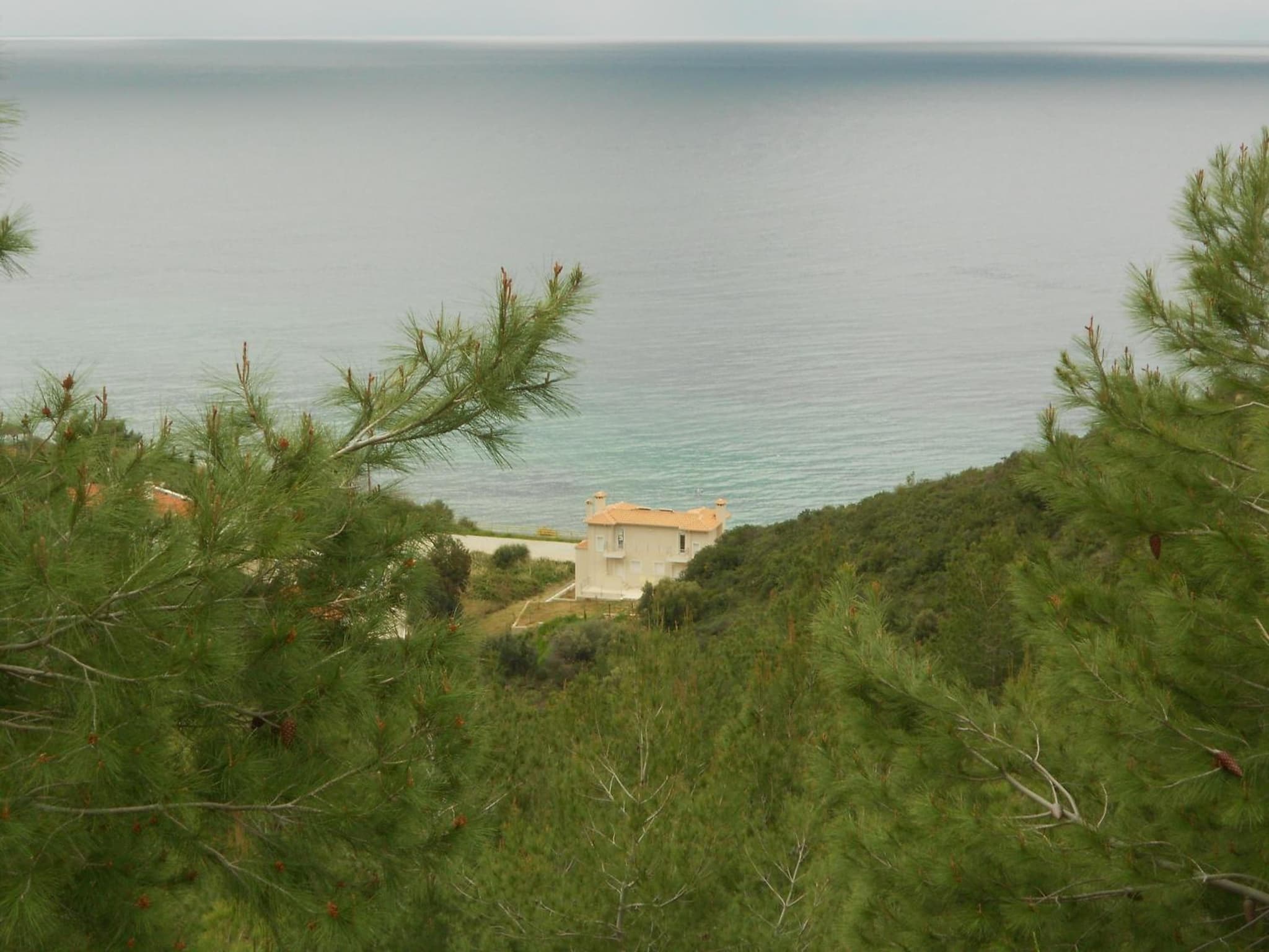 Into The Blue photo 8