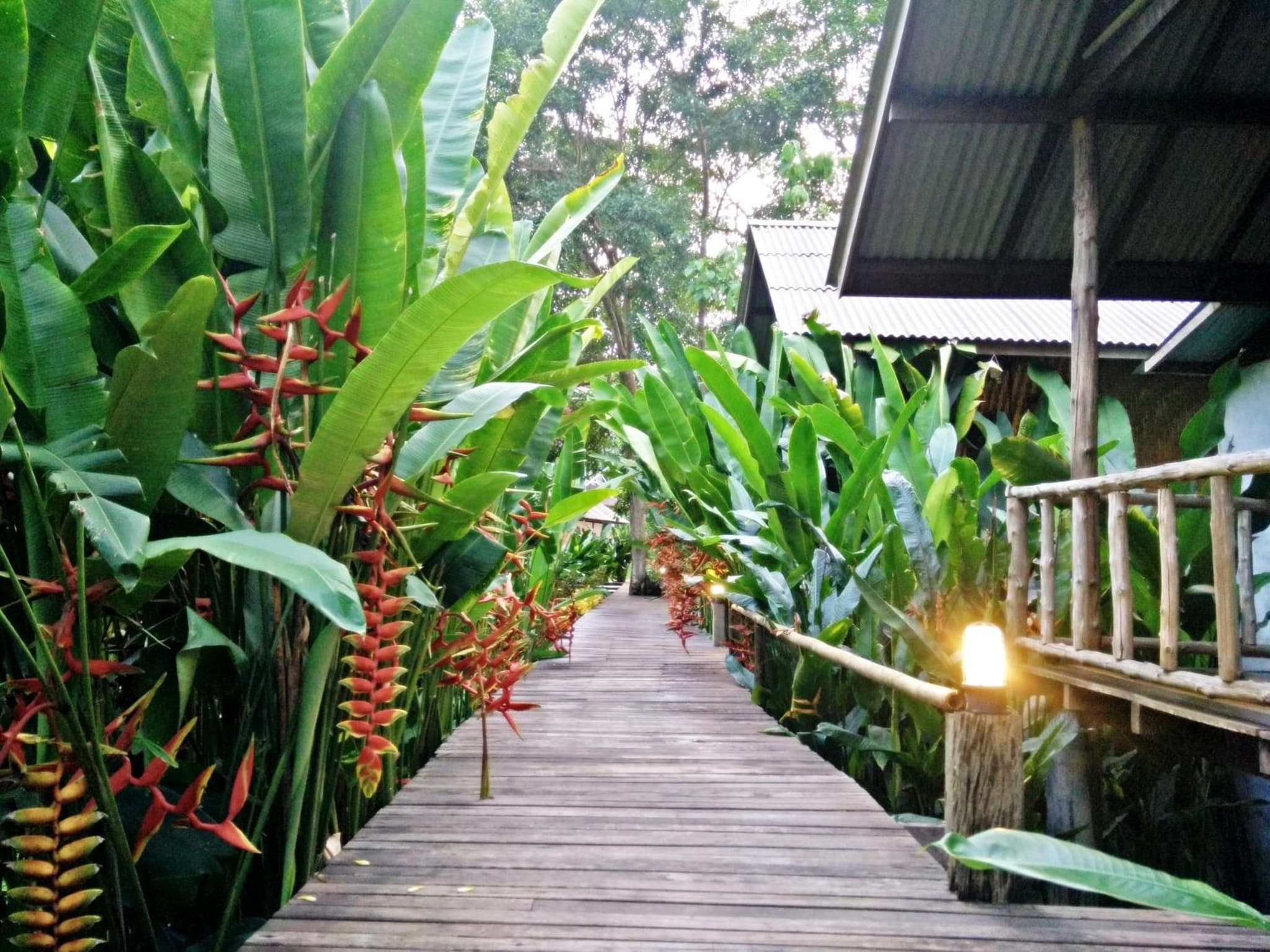 Khao Sok Cabana Resort photo 7