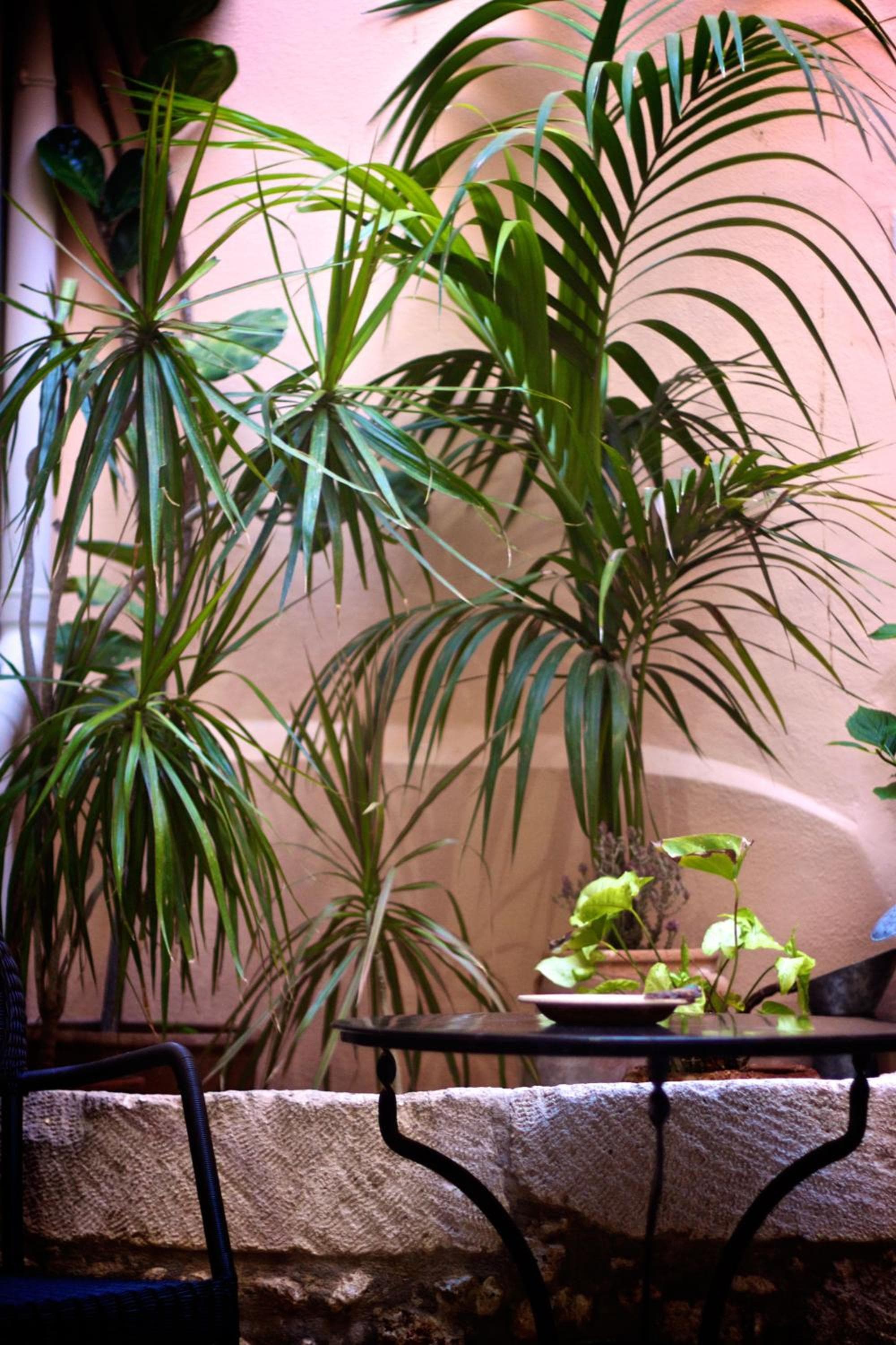 Casa Dei Delfini photo 7