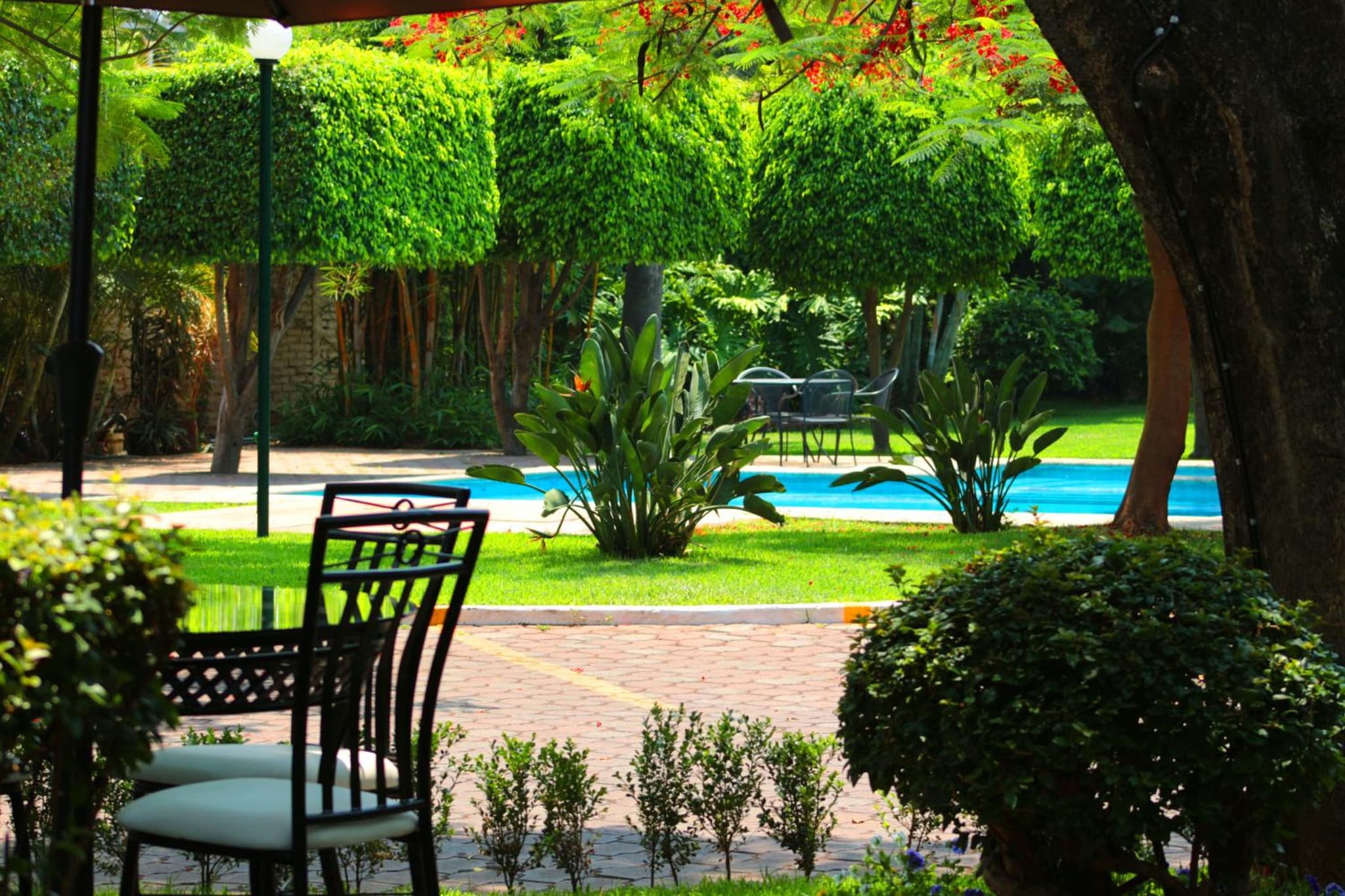 Meson del Valle photo 3