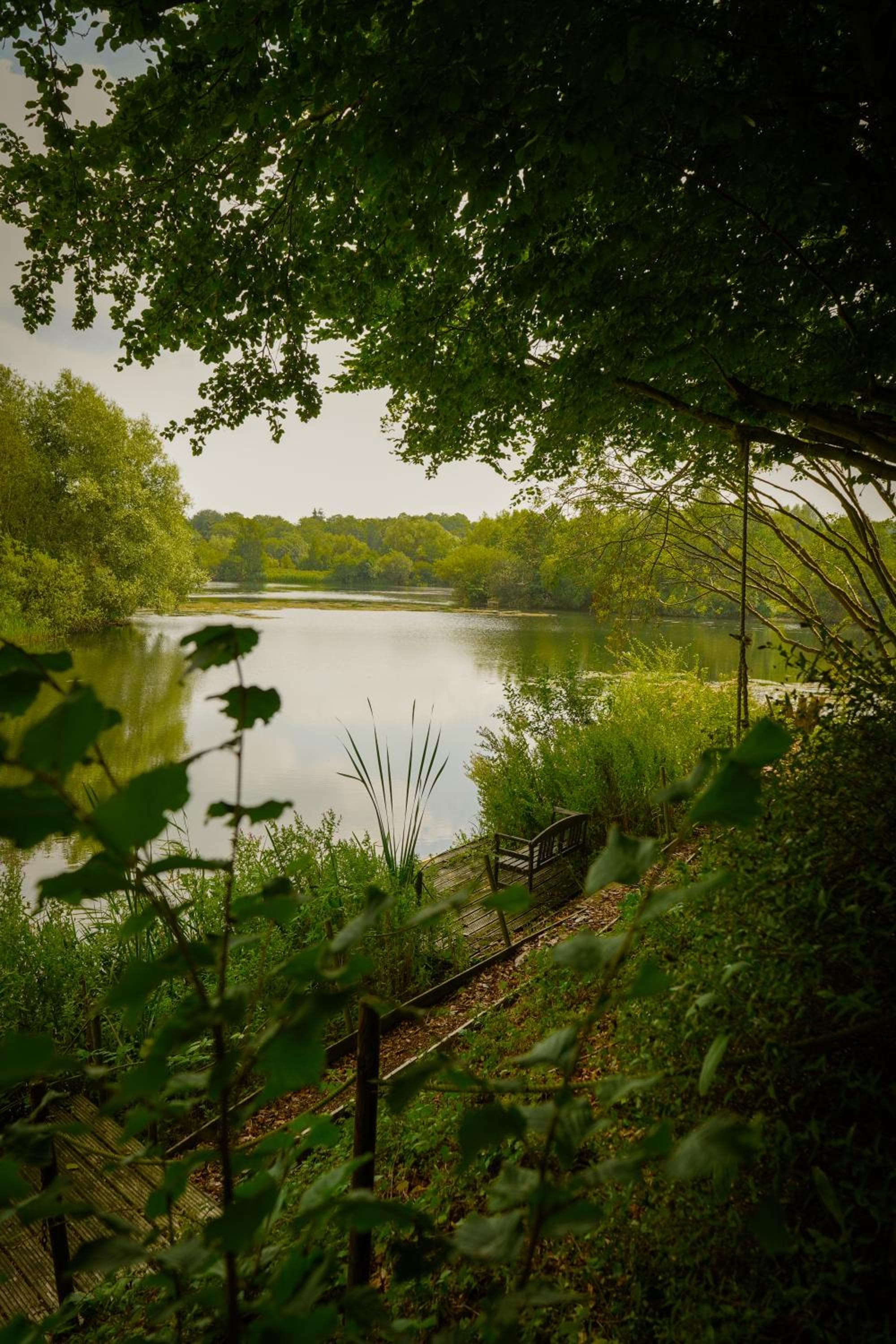 Lakeview at Lodge Farm photo 9
