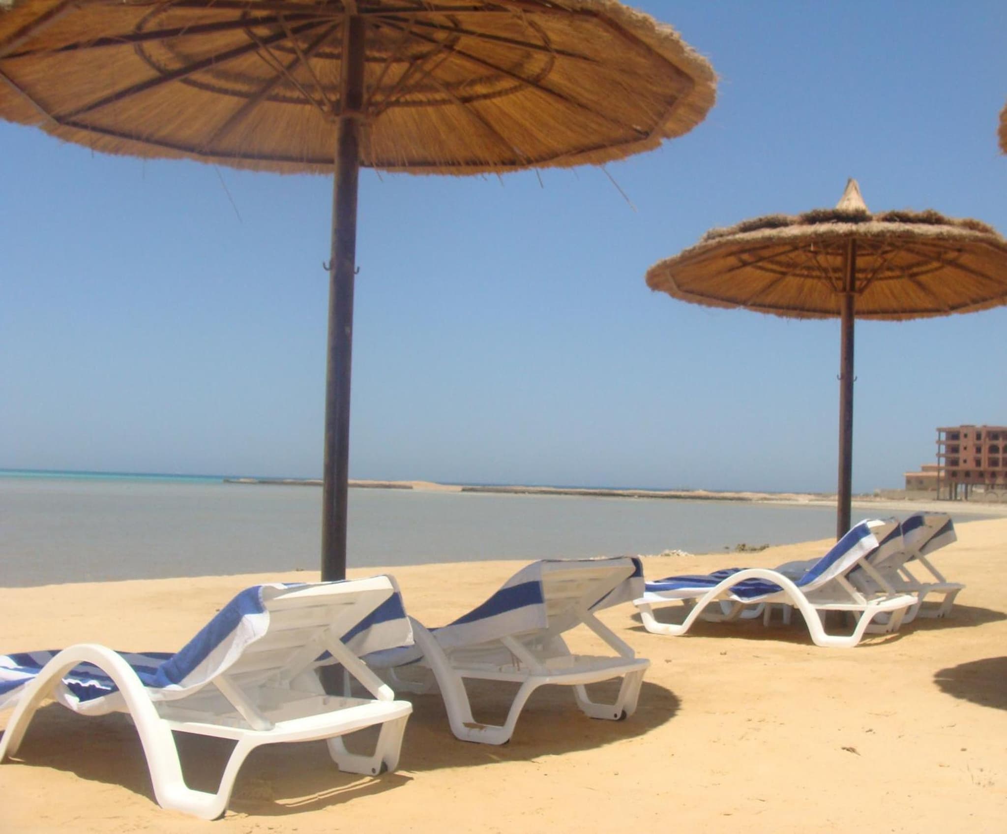 Royal Beach Serviced Apartments photo 9