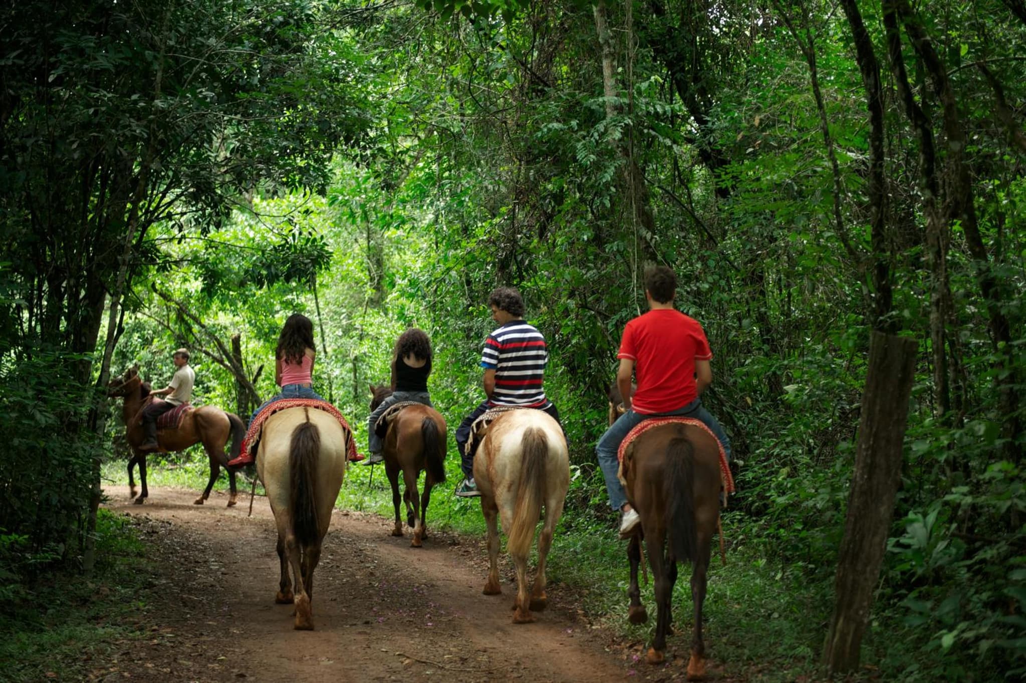 La Mision Mocona - Lodge de Selva photo 9