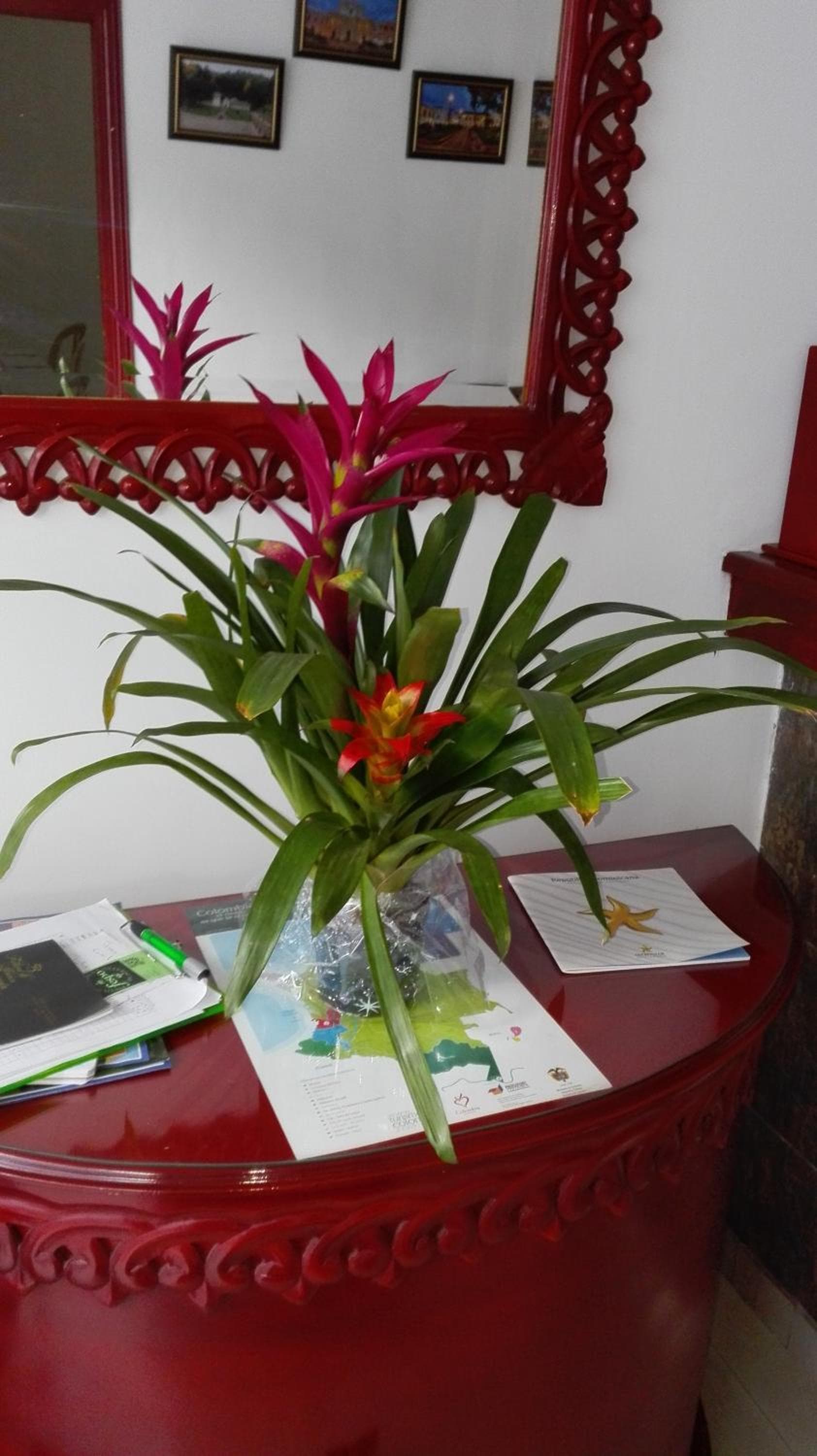 Hotel Popayan Plaza photo 6
