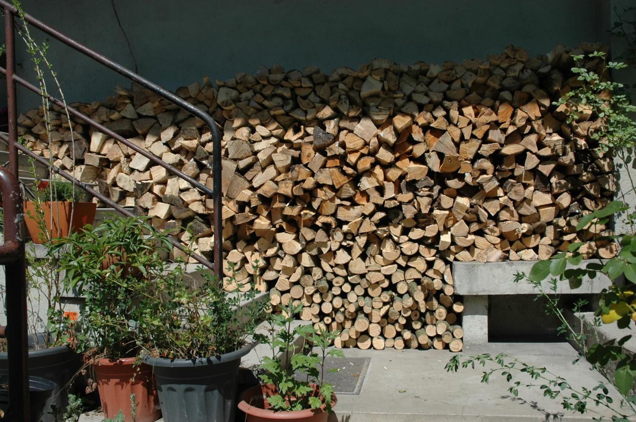 Das Haus am Hang photo 8